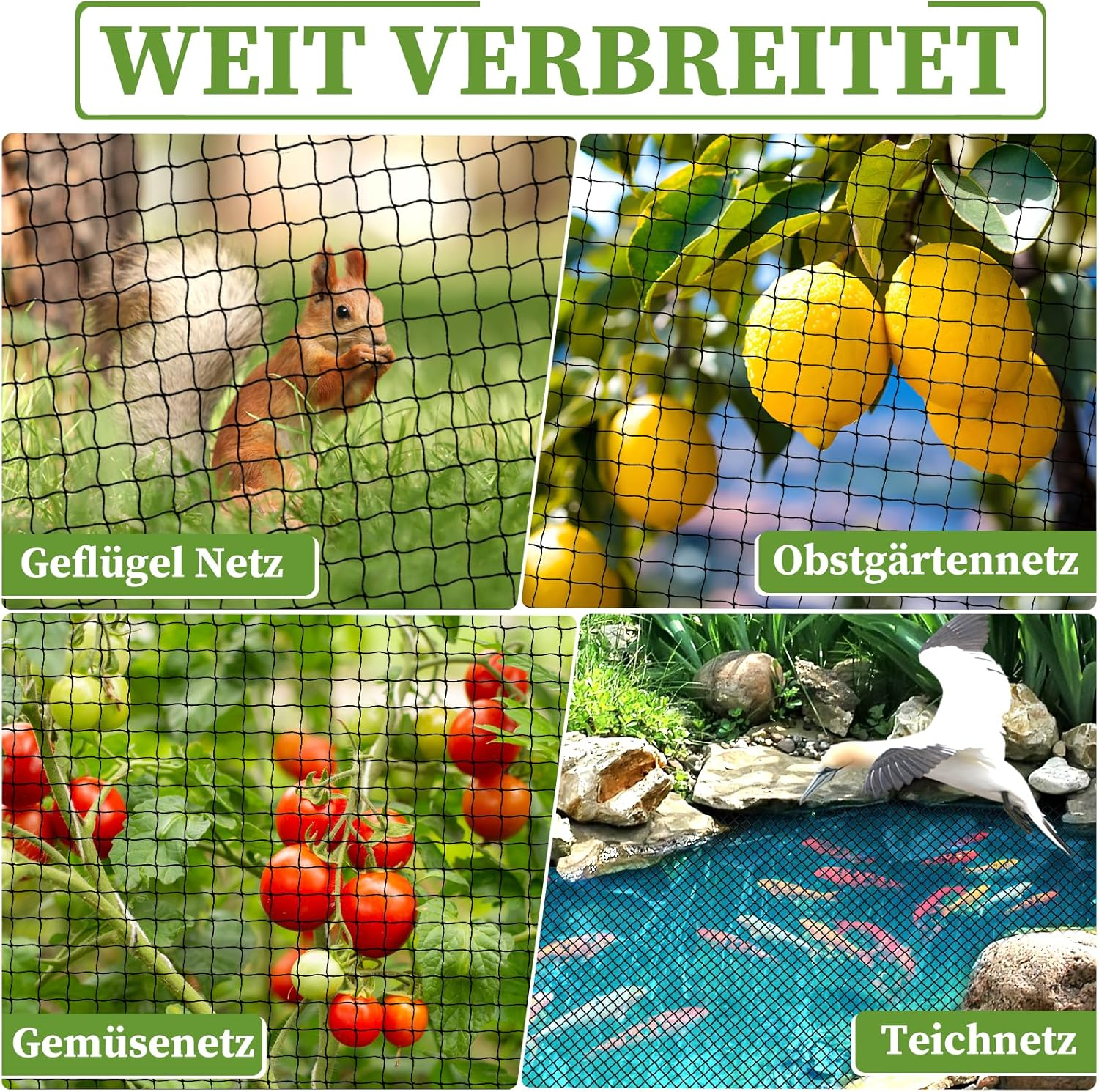 7.5 M X 15 M Bird Protection Net, Bird Net with 2.5 Cm Fine Mesh for Garden Net, Pond Net as Cat Net for Balcony, Uv-Resistant Fruit Tree Net, Leaf Net with 6 Ground Anchors image number 1