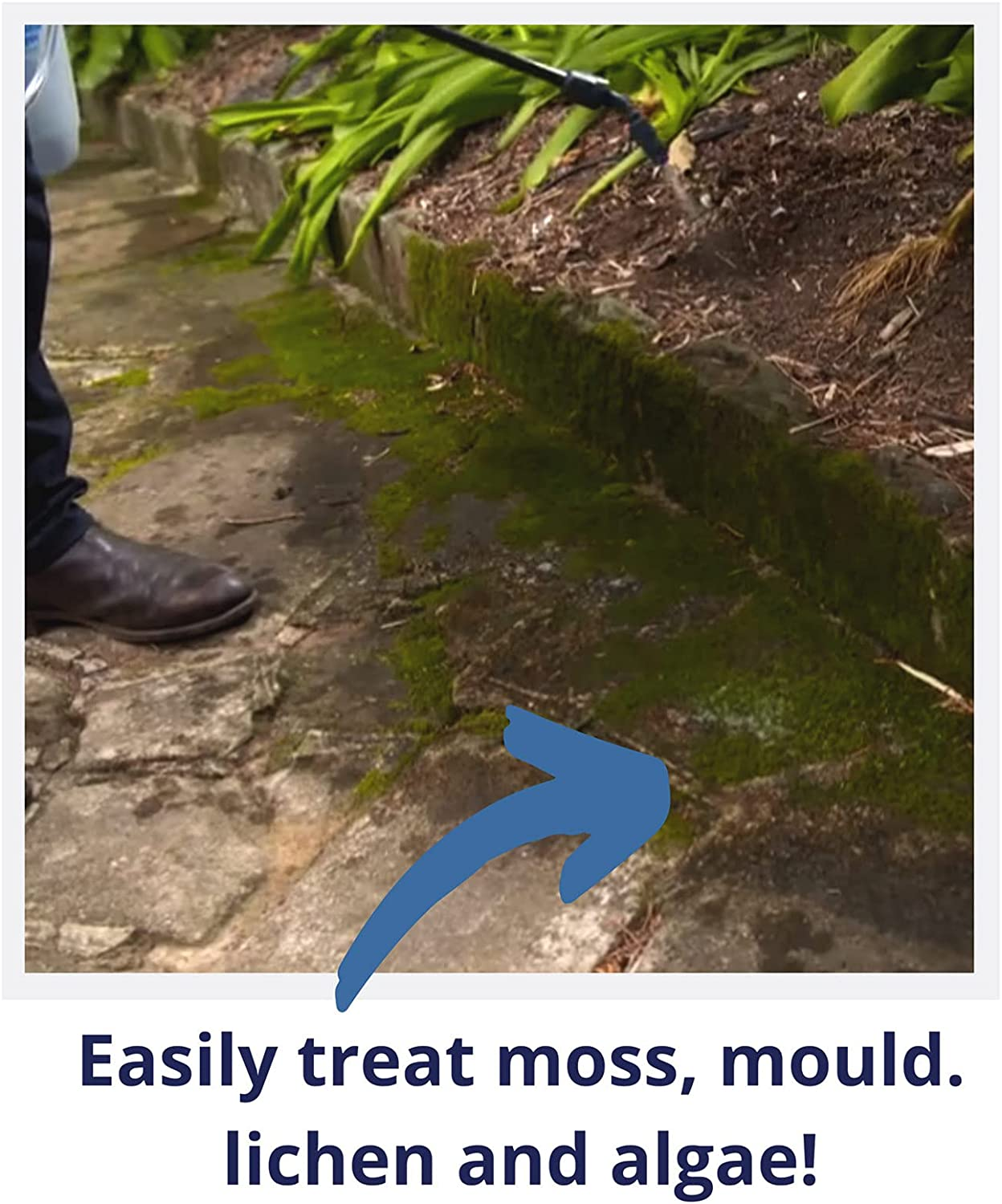 Wet & Forget Moss & Mould Remover 2L
