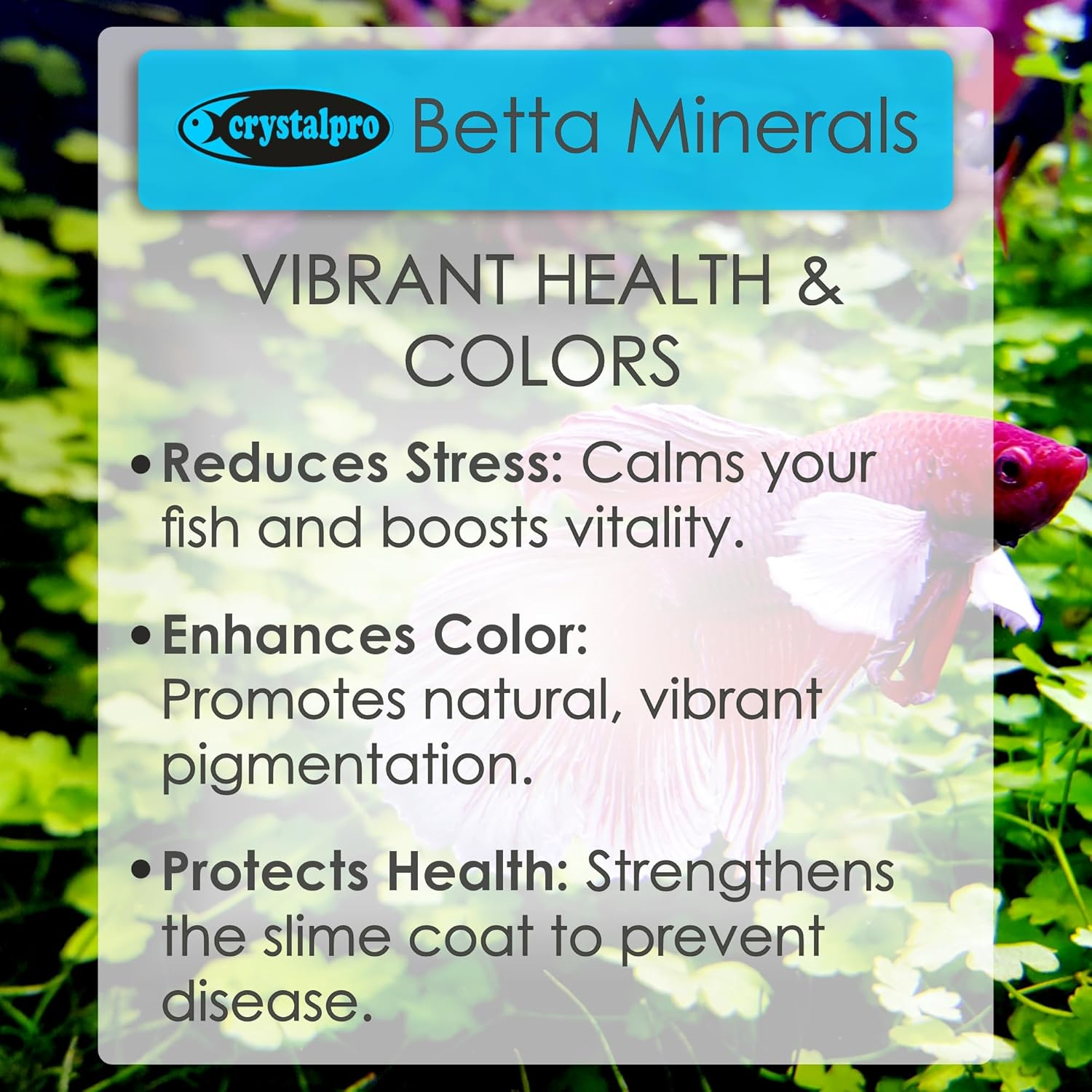 Crystalpro Betta Minerals 4.22 Oz-Mineral Additive for Bettas Replenishes Protective Coat Improves Respiration and General Health Freshwater Aquarium Salt (125 Ml) image number 3