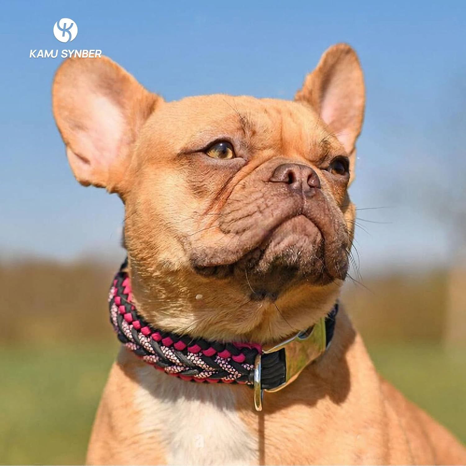 Paracord 2Mm 3 Strands 30M 100% Nylon Rope Type I Parachute Cord for Craft, Outdoor, DIY, Camping | Support 90Kg | Neon Orange image number 3