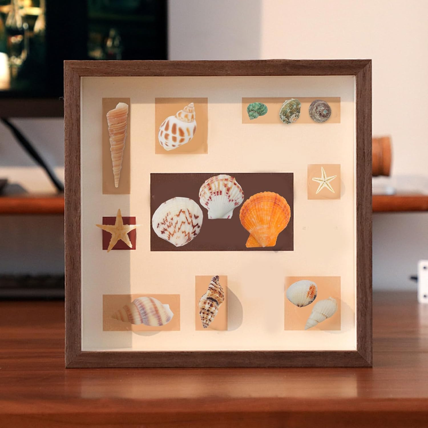 110+ Pcs Mixed Sea Shells Beach Seashells Starfish for Crafts Natural Various Sizes Ocean Conch Starfish Shells for DIY Home Fish Tank Vase Fillers Decorations Decorating Beach Theme Party image number 2