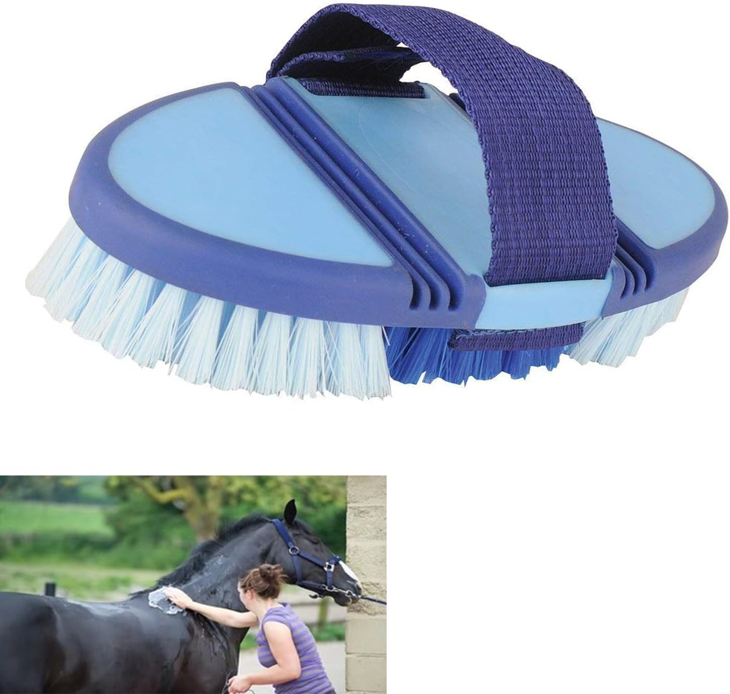 Taicols Horse Brush, 1 Pcs Horse Hair Brush, Horse Grooming Brush, Bendable Brush, Flexible and Bendable Brush, Soft Horse Cleaning Brush, Horse Grooming Tool for Horses, Horse Hair Cleaning Brush (Blue)