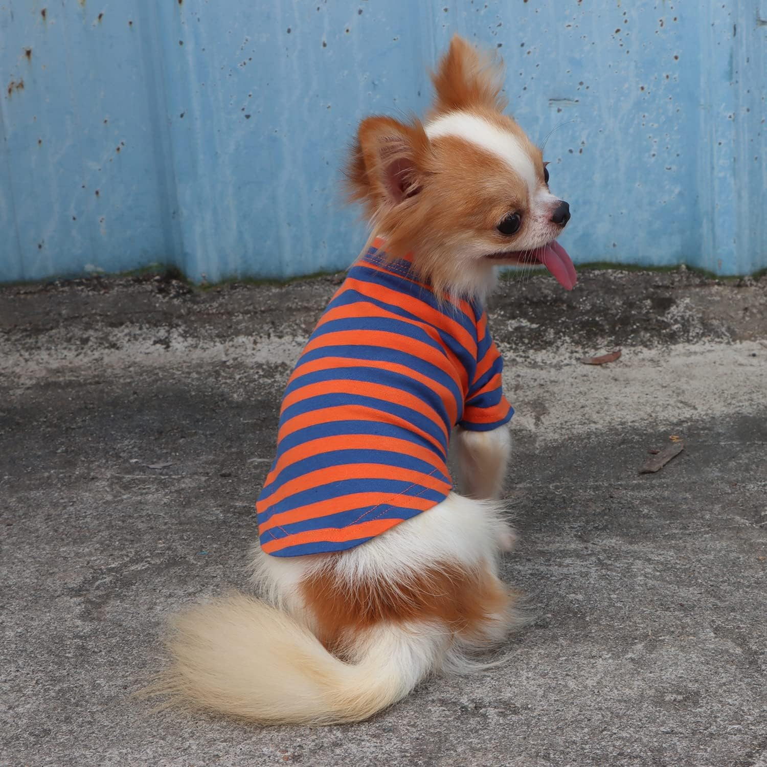 LOPHIPETS 100% Breathable Cotton Striped Dog Tee Shirt T-Shirt for Small Dogs Chihuahua Puppy Clothes -Orange and Blue Strips/M image number 6