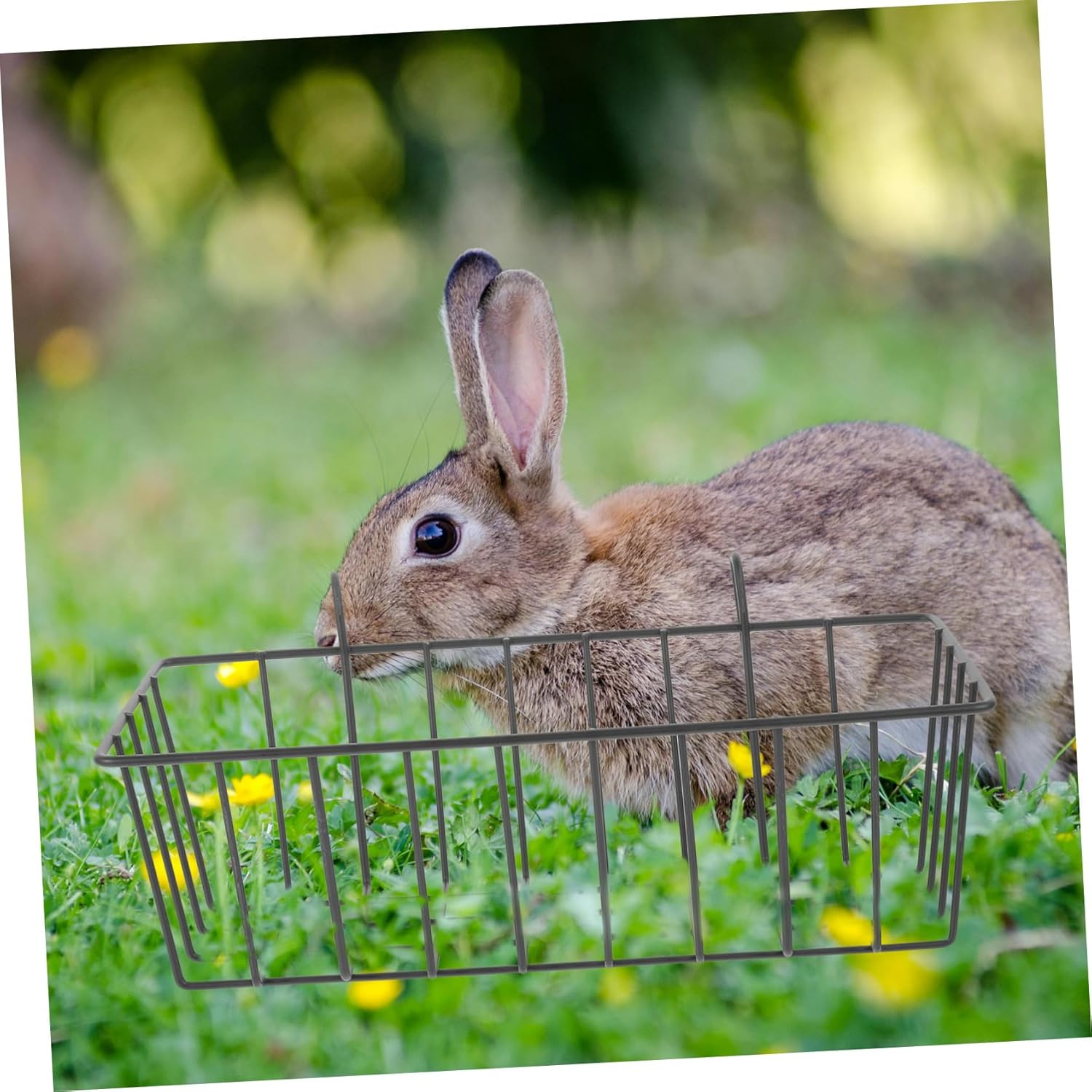 Rabbit Hay Feeder Metal Rack for Cage Convenient Bunny Hay Holder Durable Wear-Resistant Design Easy to Clean and Store for Daily Use