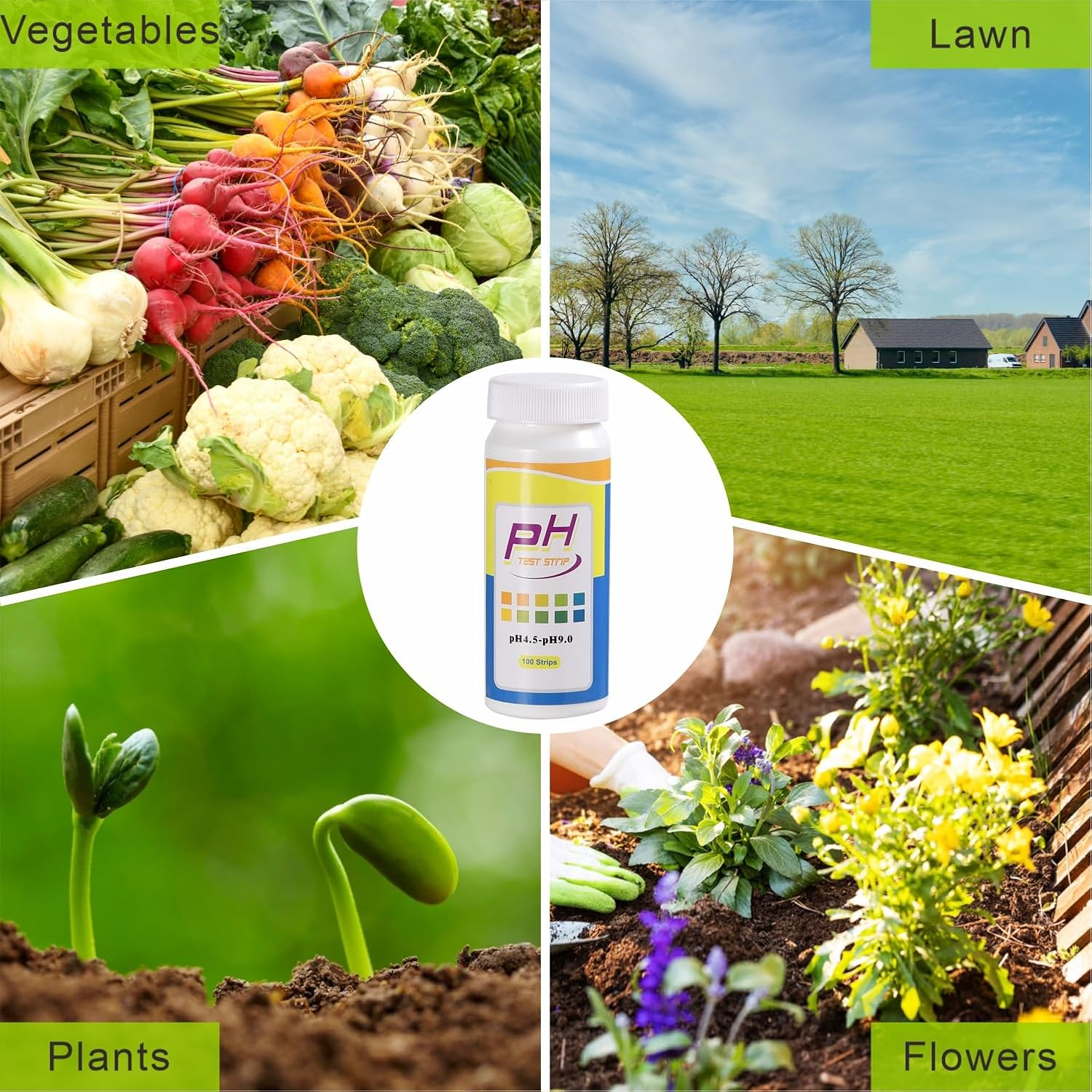 XLUX Soil Ph Tester, Acidity Test Meter, Strips Kit 200 Tests, for Garden Home Lawn Farm Vegetable Yard Compost Outdoor and Indoor Plants, 4.5-9.0 Range image number 2