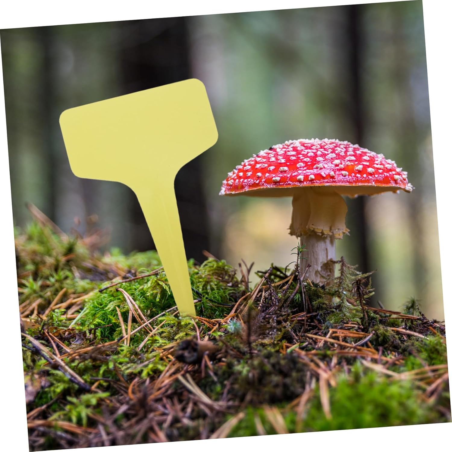 BEBEMOKO 100Pcs Shaped Plant Labels for Garden Nursery Tags for Easy Plant Identification Outdoor and Indoor Herb Flower Vegetable Gardening