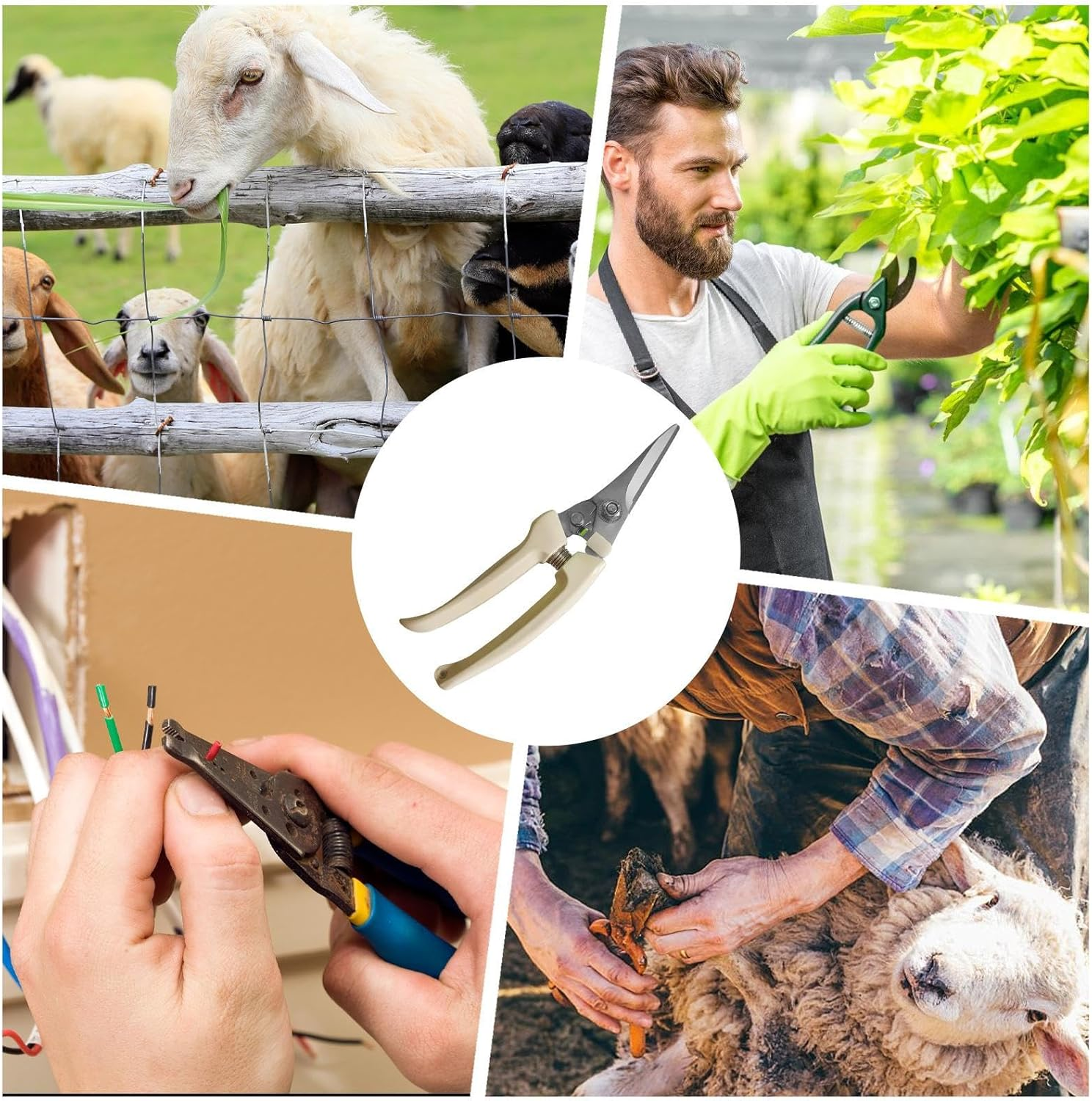 Goat Hooves Trimmer | Stainless Steel Horse Hoof Trimming Tools,Ergonomic Rustproof Shears Clippers for Livestock Trimming Pruning Ranch Farm Lamb Alpaca image number 1