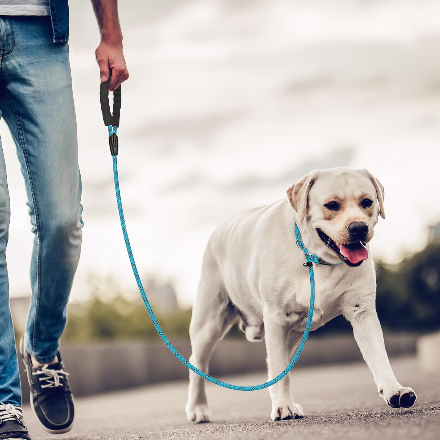 Slip Lead Dog Leash 6FT, Heavy Duty 1.8M Anti-Choking Rope Slip Leash, Reflective Strong Sturdy Rope Lead for Large Medium Small Dog, 1/2 Inch(12Cm), Blue