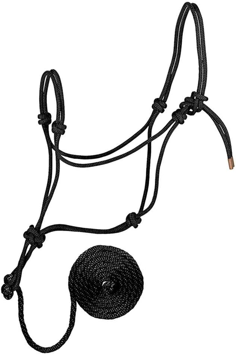Weaver Leather Diamond Braid Rope Halter and Lead
