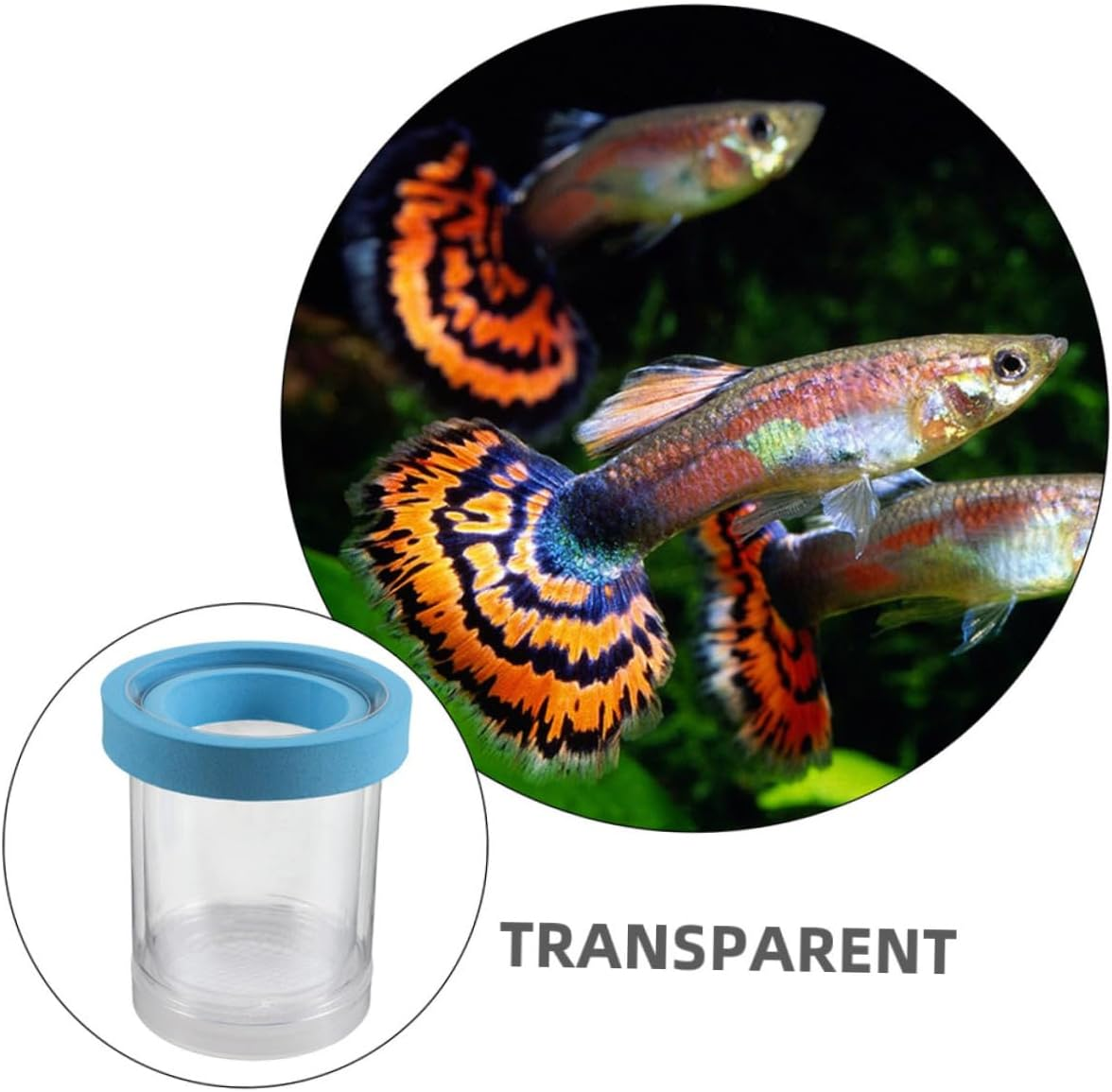 Toyvian Floating Fish Breeding Isolation Box Transparent Hatchery Incubator for Aquarium Nursery Tank Divider Suitable for Small Fish Betta Shrimp Aquatic Pets image number 5