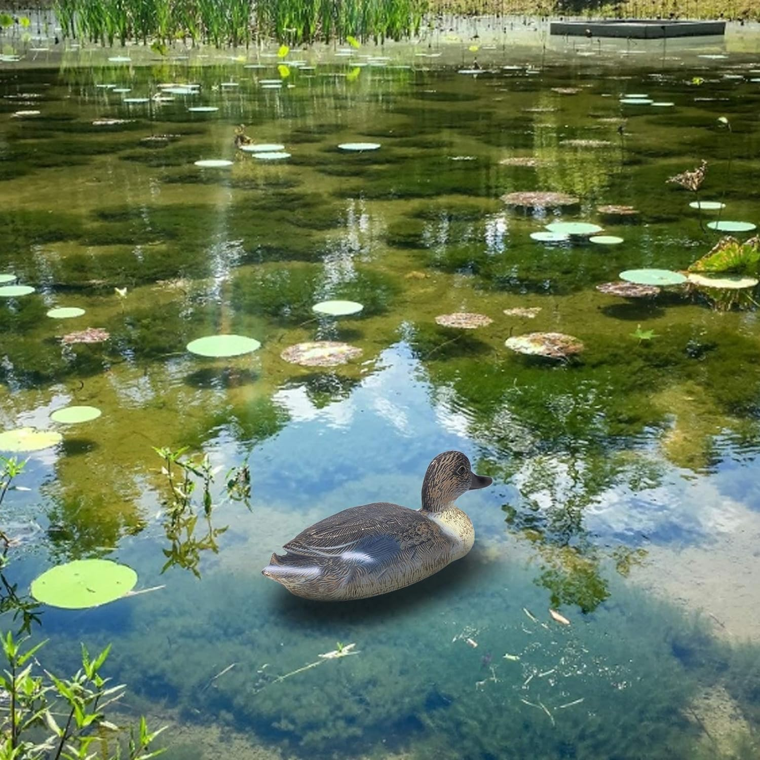 Mini Farm Animal Figures, Farm Animal Cake Cupcake Topper, Simulation Plastic Duck Garden Lawn Swan Pond Ornaments Decoration Floating Animal Cute Statue image number 6