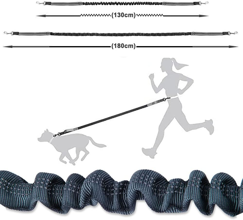 Aiqeer Grey Hands Free Dog Leash, Adjustable Waist Belt and Retractable Bungee Leash, Jogging Dog Leash with Reflective Stitching (Orange Handle)