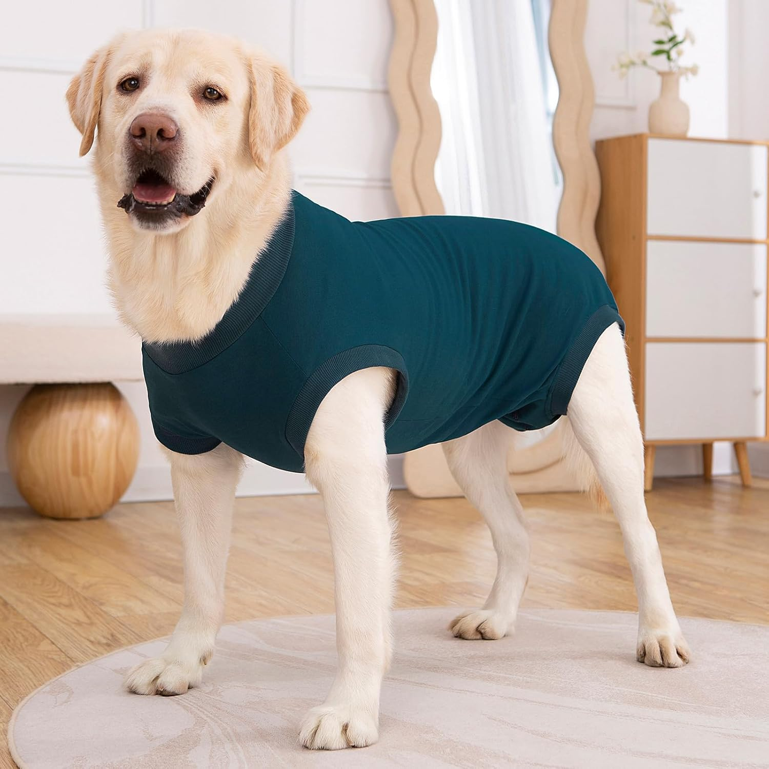 Axcimond Dog Body after Surgery Leak Protection Dog Surgery Body Dog Castration Male Medical Pet Shirt Dog Onesie Wound Protection Suits for Dogs with Velcro Fastening Alternatives to Cone And image number 3