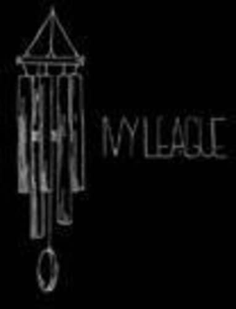 2009 2011 image number 1