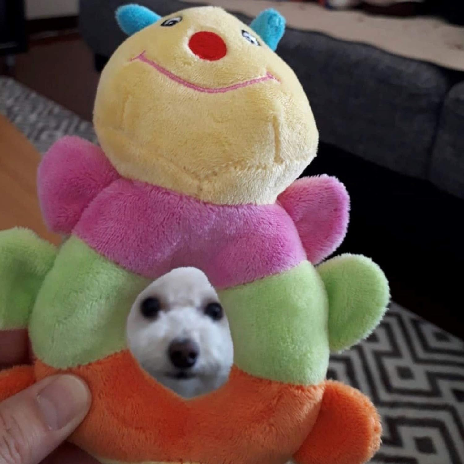 [PLATZ PET SUPPLIES & FUN] Dog Toy, Caterpie Baby Ring image number 4