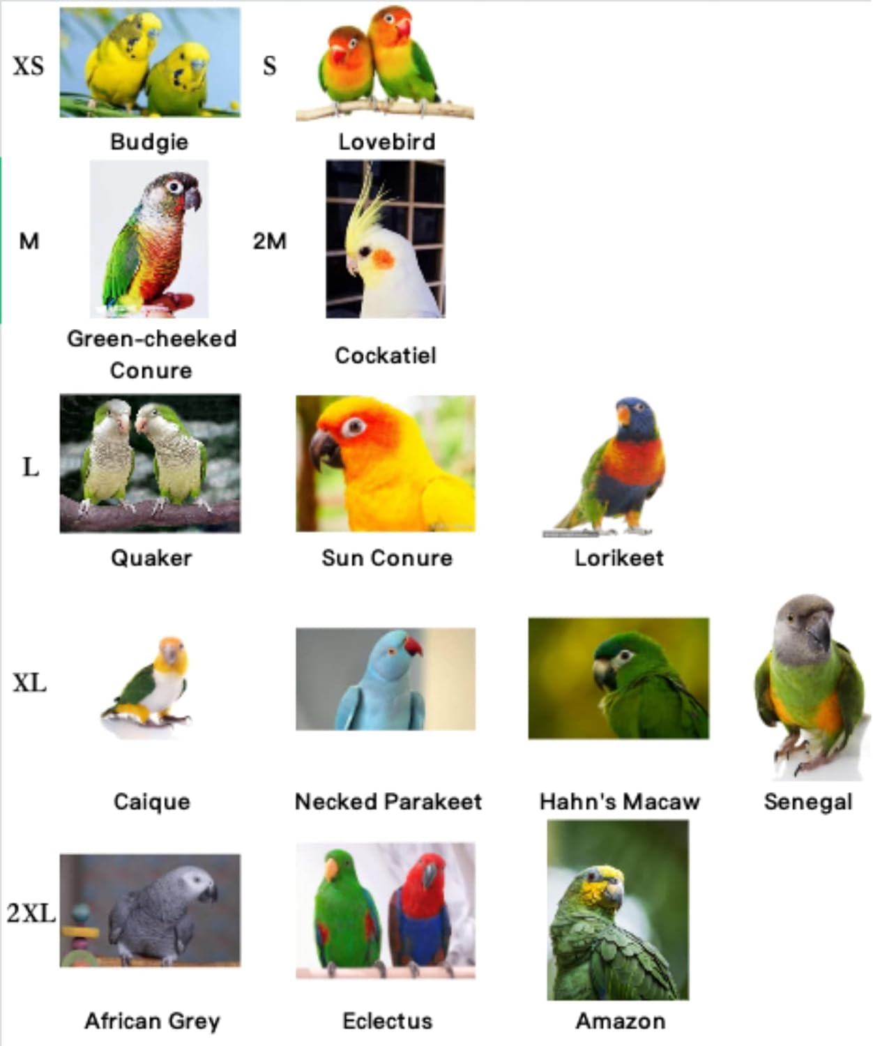 Bird Diaper Harness Flight Suit Clothes, Parrot Flight Suit with Leash for Parrot, Bird Flying Clothes with Rope and Handle for Outdoor Activities Training (With Leash - Xx-Large) image number 6