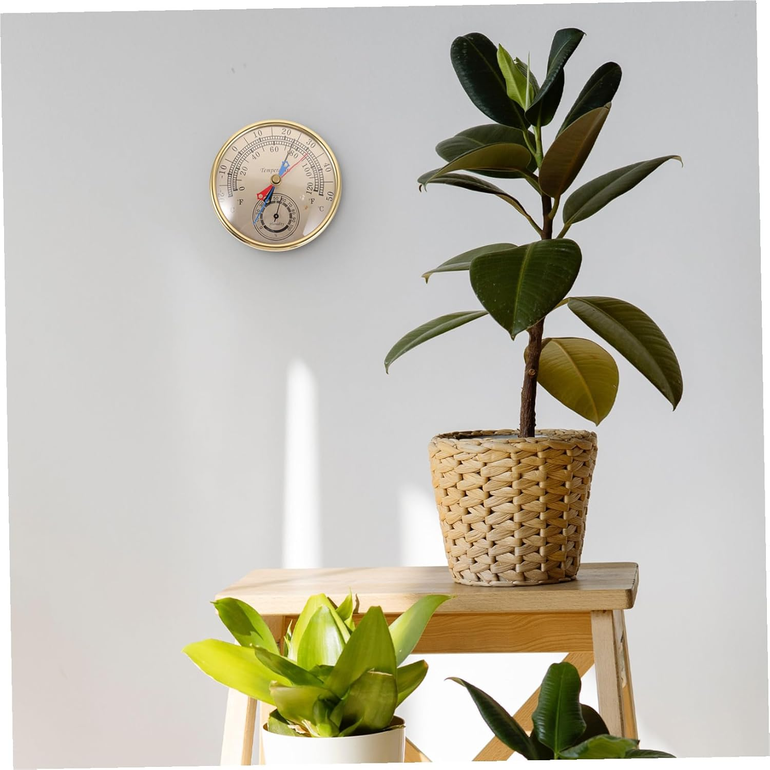 COHEALI Accurate Indoor Digital Thermometer Hygrometer with Bright Display for Humidity and Temperature Monitoring in Greenhouses Offices Warehouses and Homes image number 2