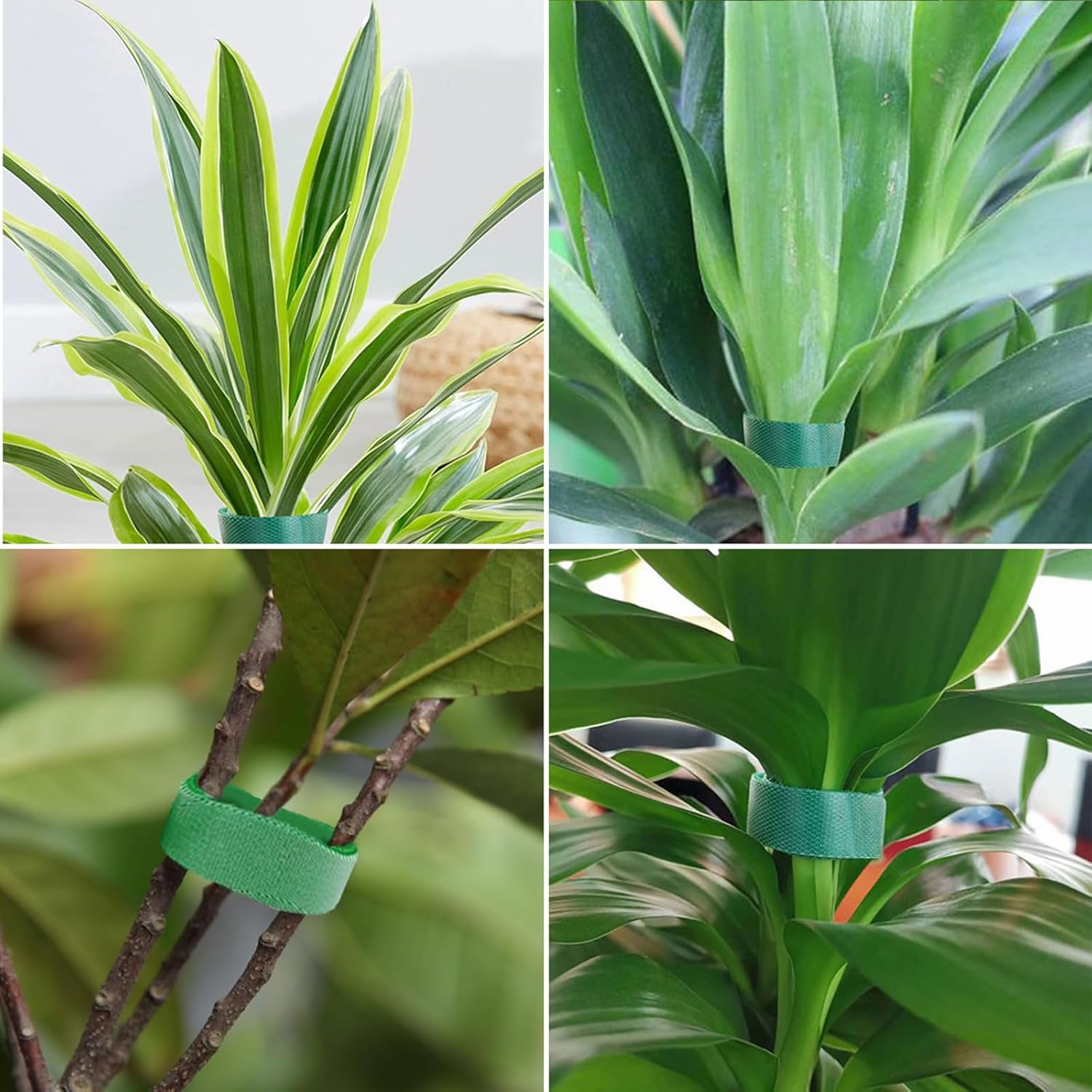 Garden Tie Green Tape, 20M/65.6Ft Green Garden Tape,Plant Supports Ties,Reusable Cable Ties-For Climbing Plants Straps Tree Stakes and Indoor Outdoor Plant Gardening Planters Flowers image number 3