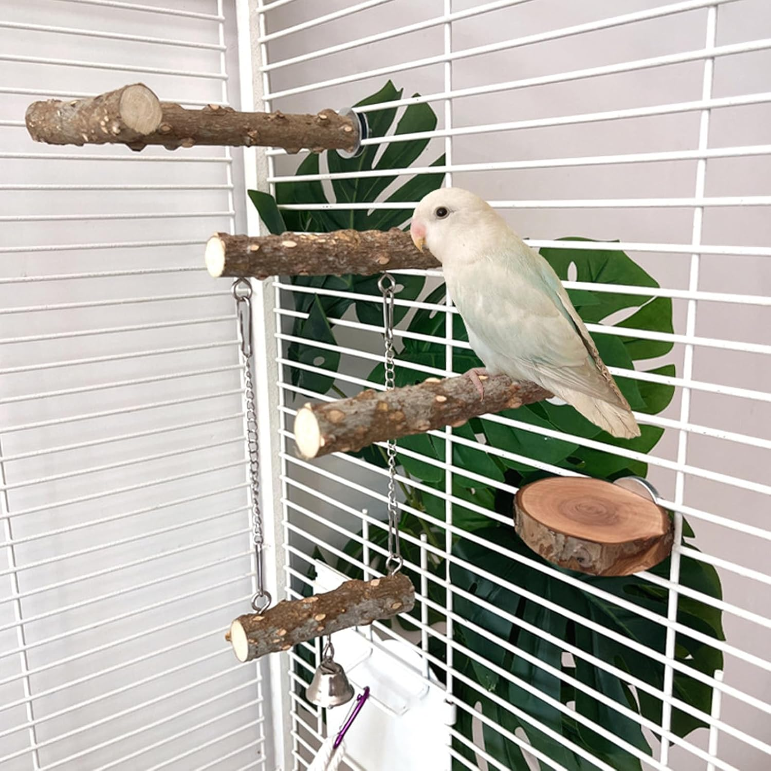 Wooden Bird Perch for Cage 6 Pcs, Natural Wood Parrot Perch Stand Branch Platform Swing Toy for Budgies Parakeet Lovebirds image number 1