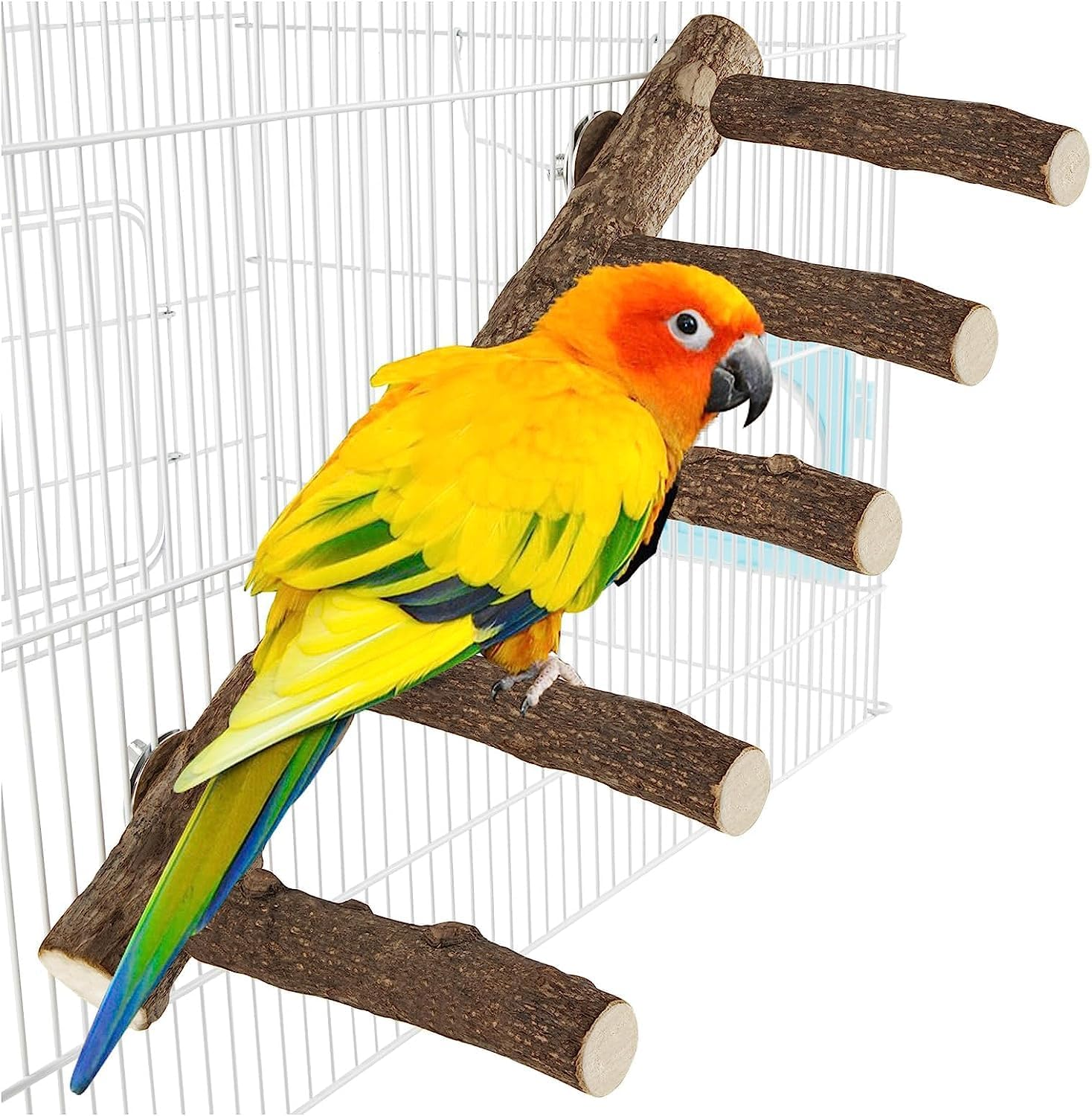 Parrot Wood Stand for Cage, 12.2Inch Length Parrot Perch, Natural Bird Ladder for Small Medium Parrot, Conures, Hamster, Parakeets, Cockatiels image number 2