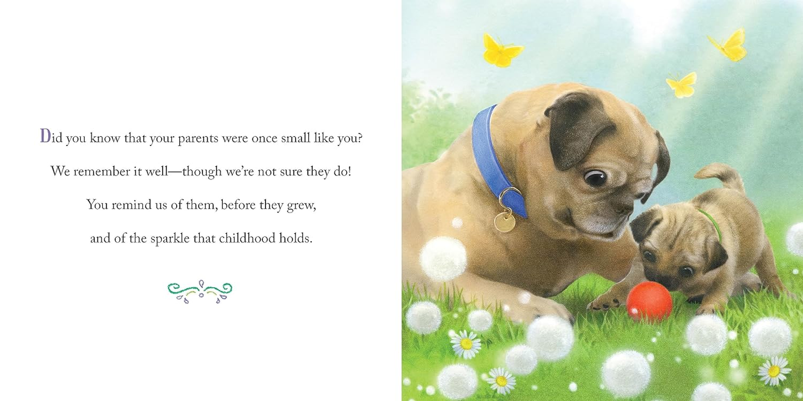 Why We Need Granddaughters image number 4