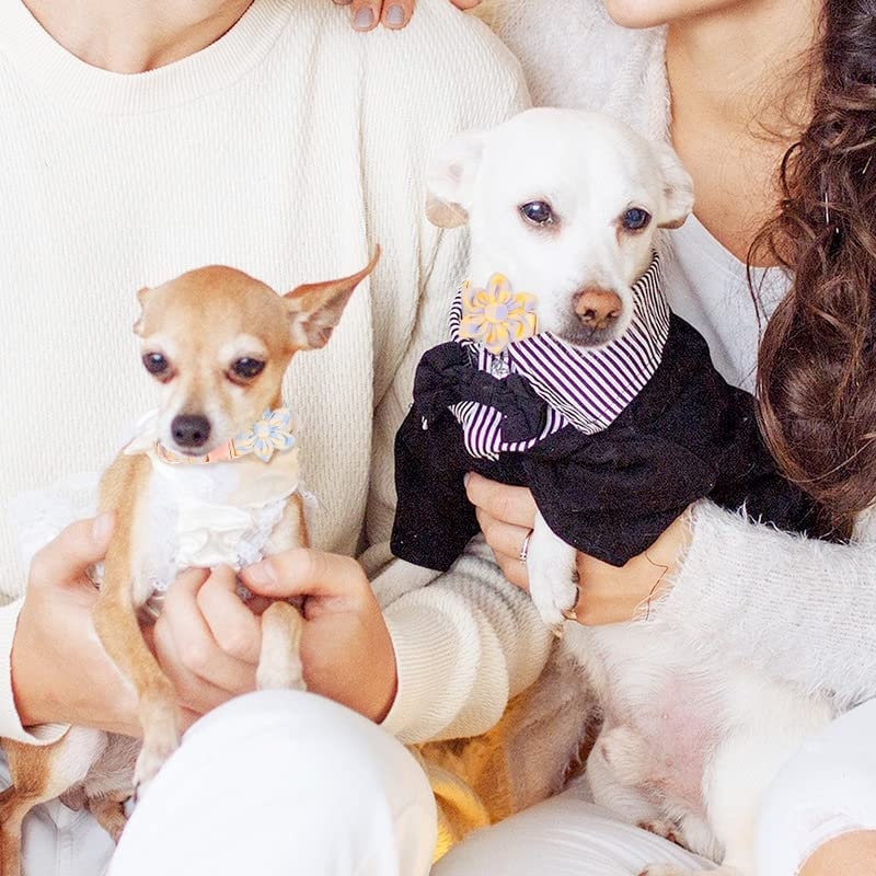 Kalevel Dog Collar Leather Rhinestone Cat Collar Personalized Pet Collar Supplies Adjustable with Metal Buckle Bling Black for Puppies Cats image number 2