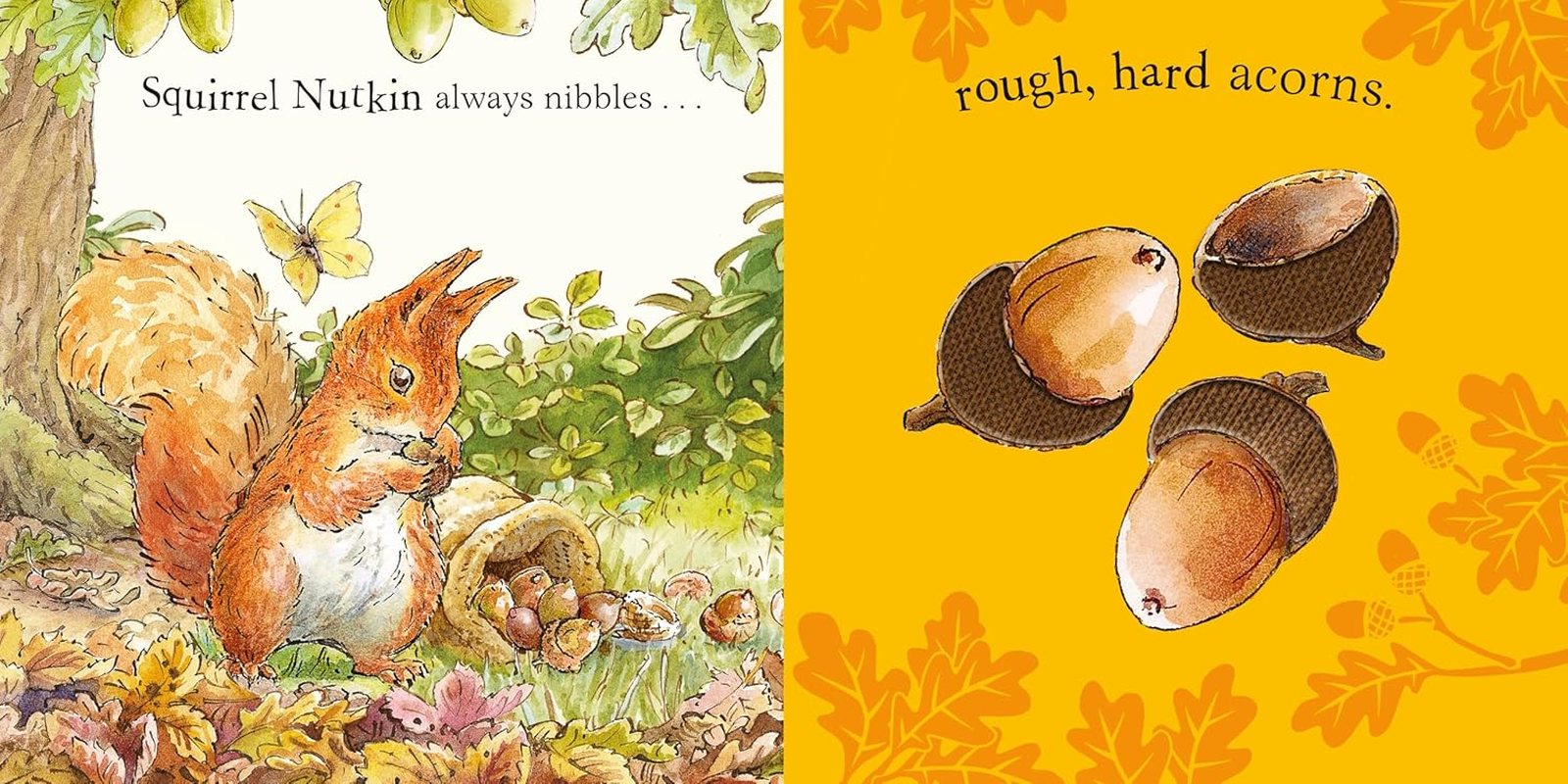 Peter Rabbit: Forest Feast: a Touch-And-Feel Book image number 2