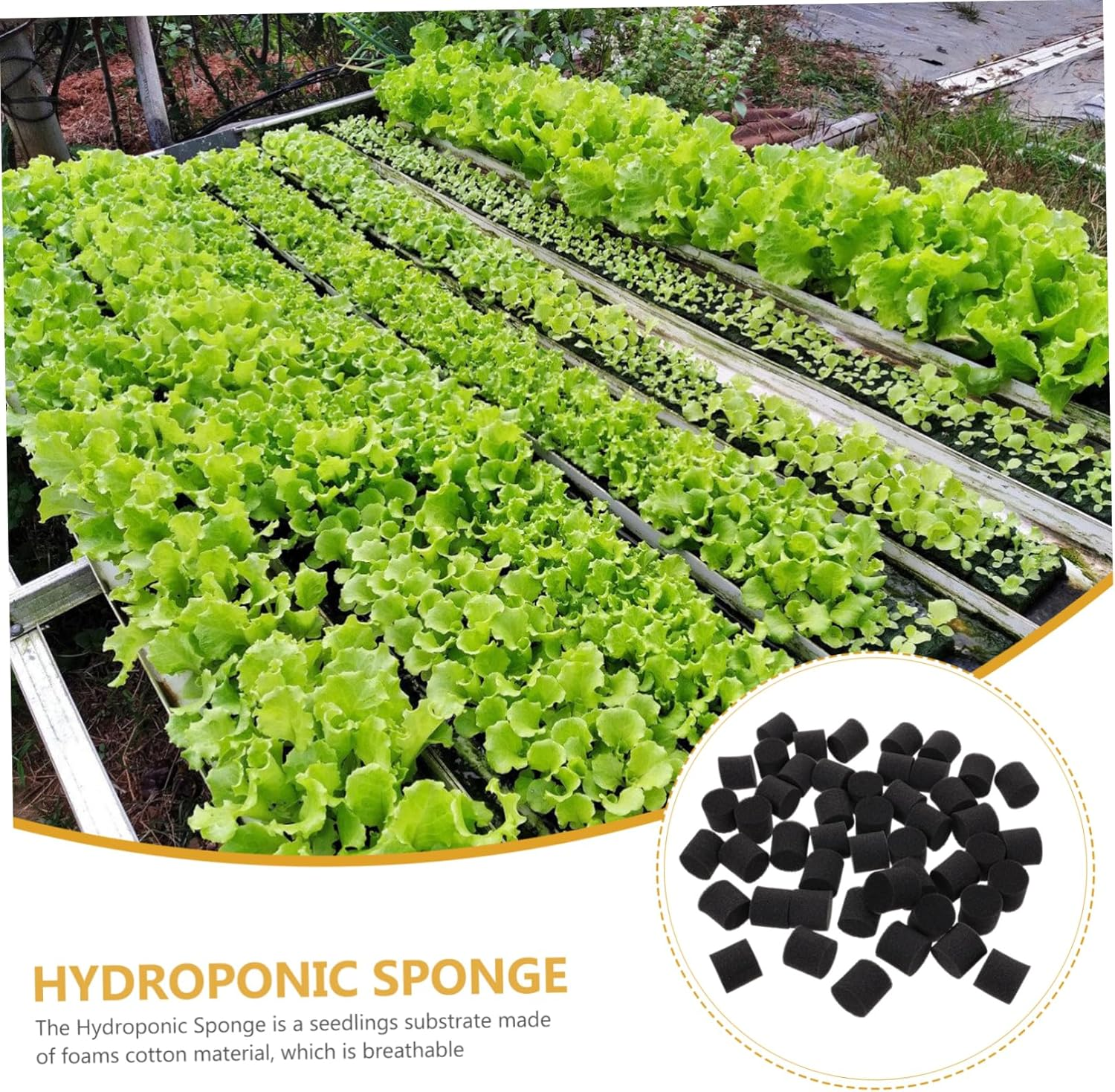 MERRYHAPY 100Pcs Hydroponic Sponge Blocks for Plant Growing Supplies Indoor Seedling Starter Hydroponic Gardening Tool Black Soilless Planting Cubes for Balcony and Greenhouse image number 4