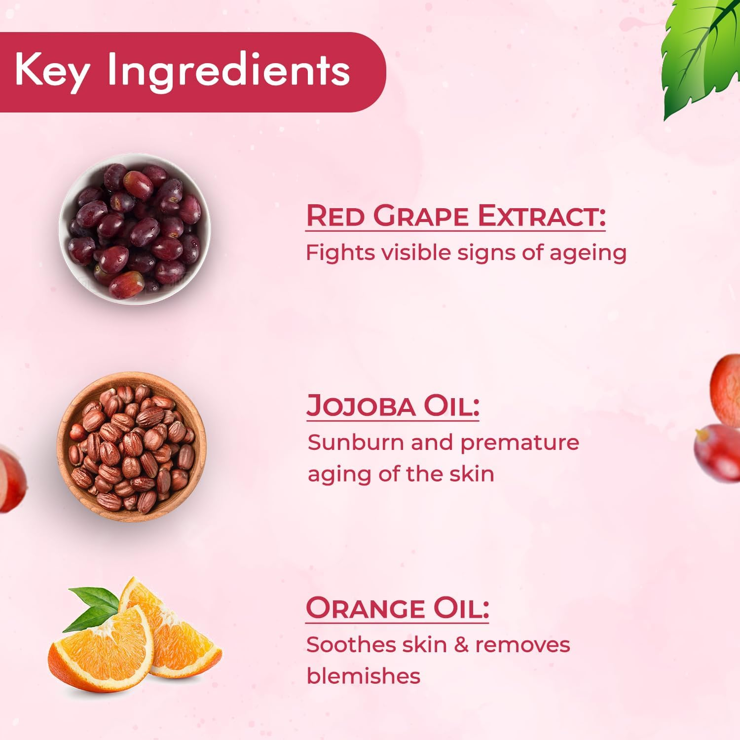 Nutriglow Natural'S Advanced Pro Formula Wine Facial Cleanup Kit for Glowing Skin |Blemish Free, Fairer Complexion| 10 Gm Each