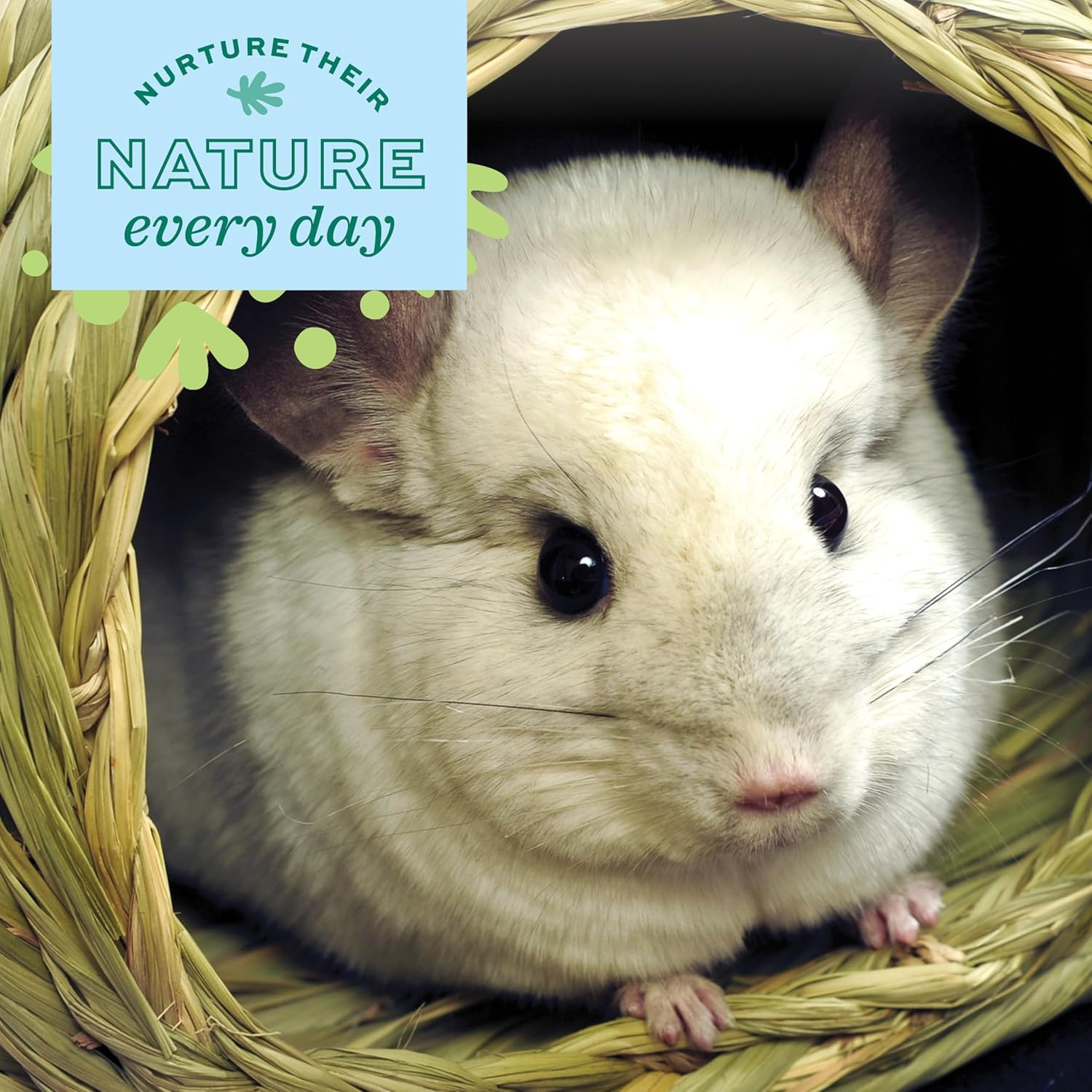 OXBOW PET PRODUCTS 448152 Timothy Club Bungalow for Pets Medium image number 1