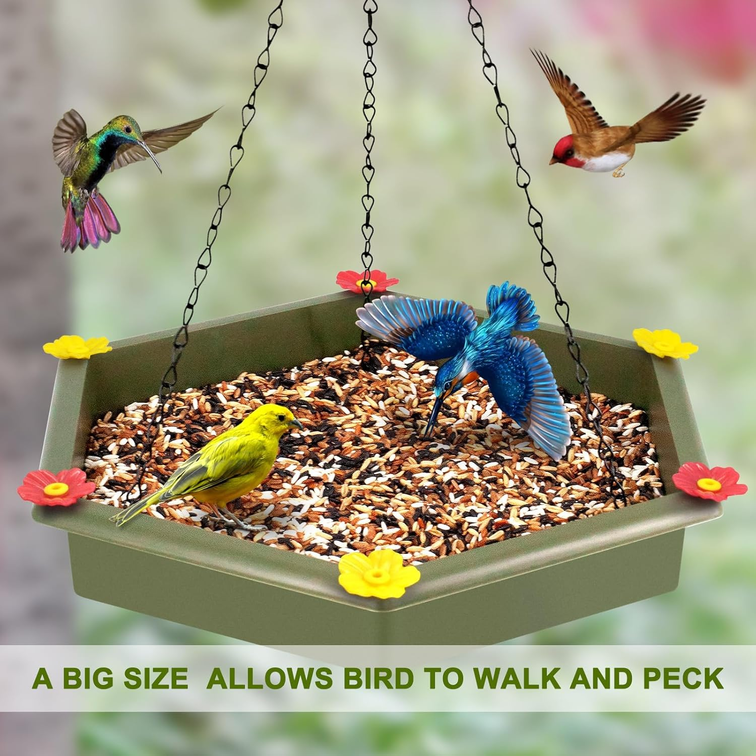 XXL Dual-Function Hanging Bird Bath & Feeder - Outdoor Tray for Garden Birds (Green)​