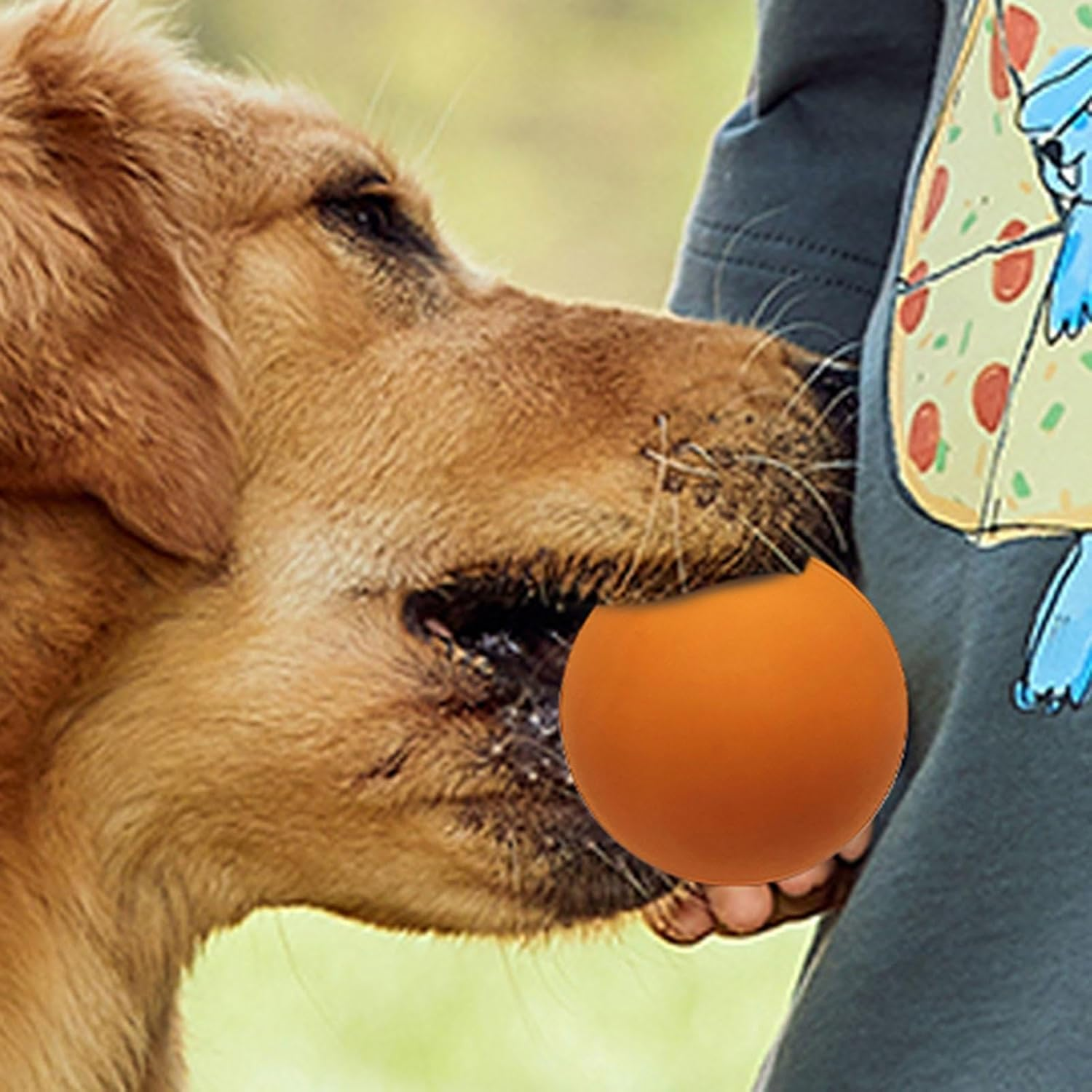 Squash Ball Beginner, High Elasticity Squash Balls, Kids Squash Balls, Outdoor Sports Rubber Ball, Professional Training Squash Ball, High Visibility Squash Ball, Hollow Squash Ball, Squash Tr