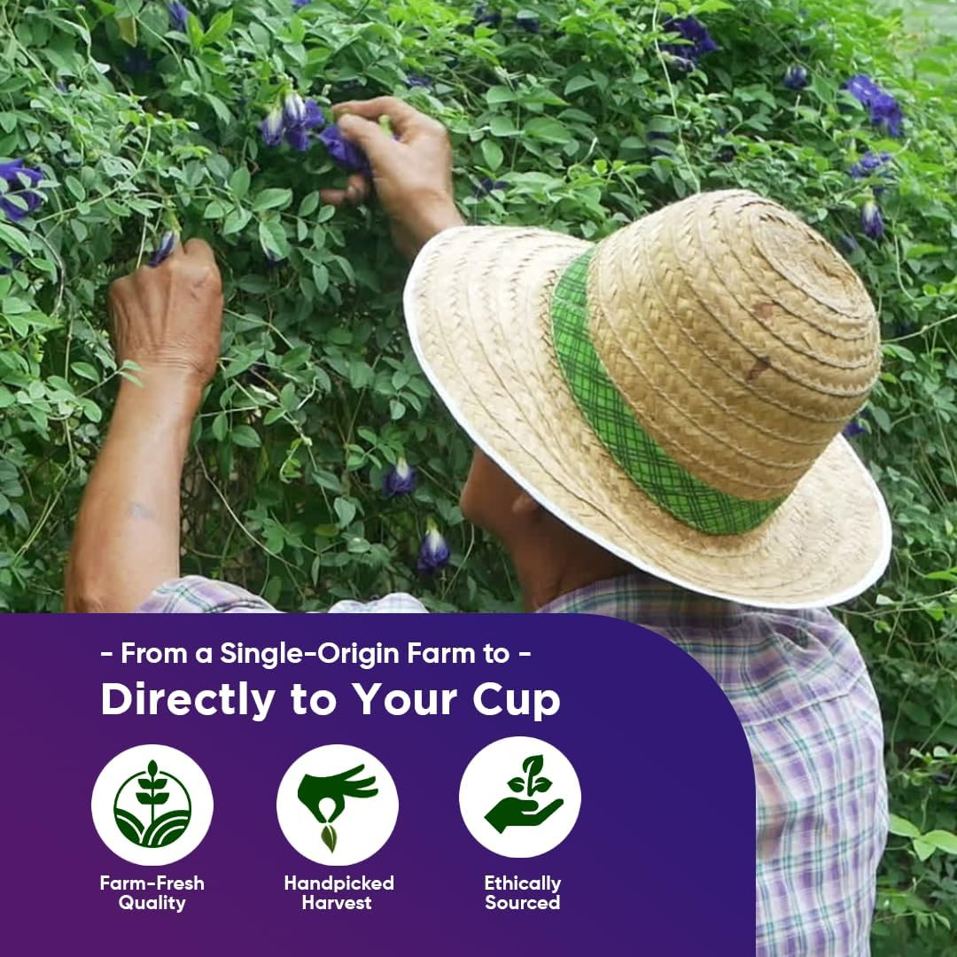 Zyanna Butterfly Pea Flower Tea with Lemongrass &ndash; 20 Pyramid Tea Bags | Caffeine-Free Herbal Blue Tea | Vegan & Non-Gmo | Natural Color for Cocktails, Mocktails | Brew Hot or Iced image number 5