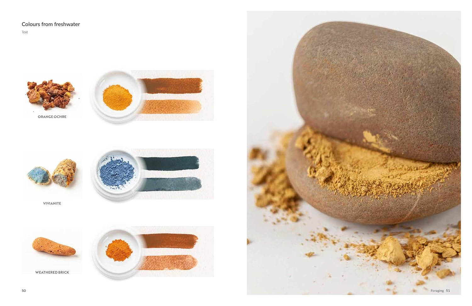 Found and Ground: a Practical Guide to Making Your Own Foraged Paints image number 2