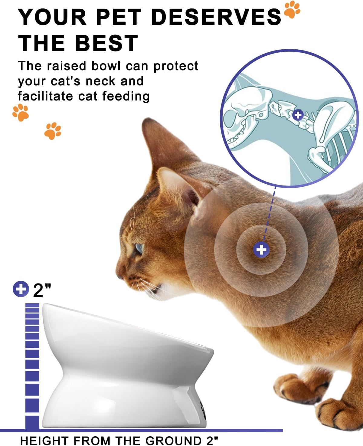 Y YHY Ceramic Raised Cat Food Bowl, Slanted Cat Dish, Tilt Angle Protect Cat'S Spine, Stress Free, Backflow Prevention, Cat, White image number 1