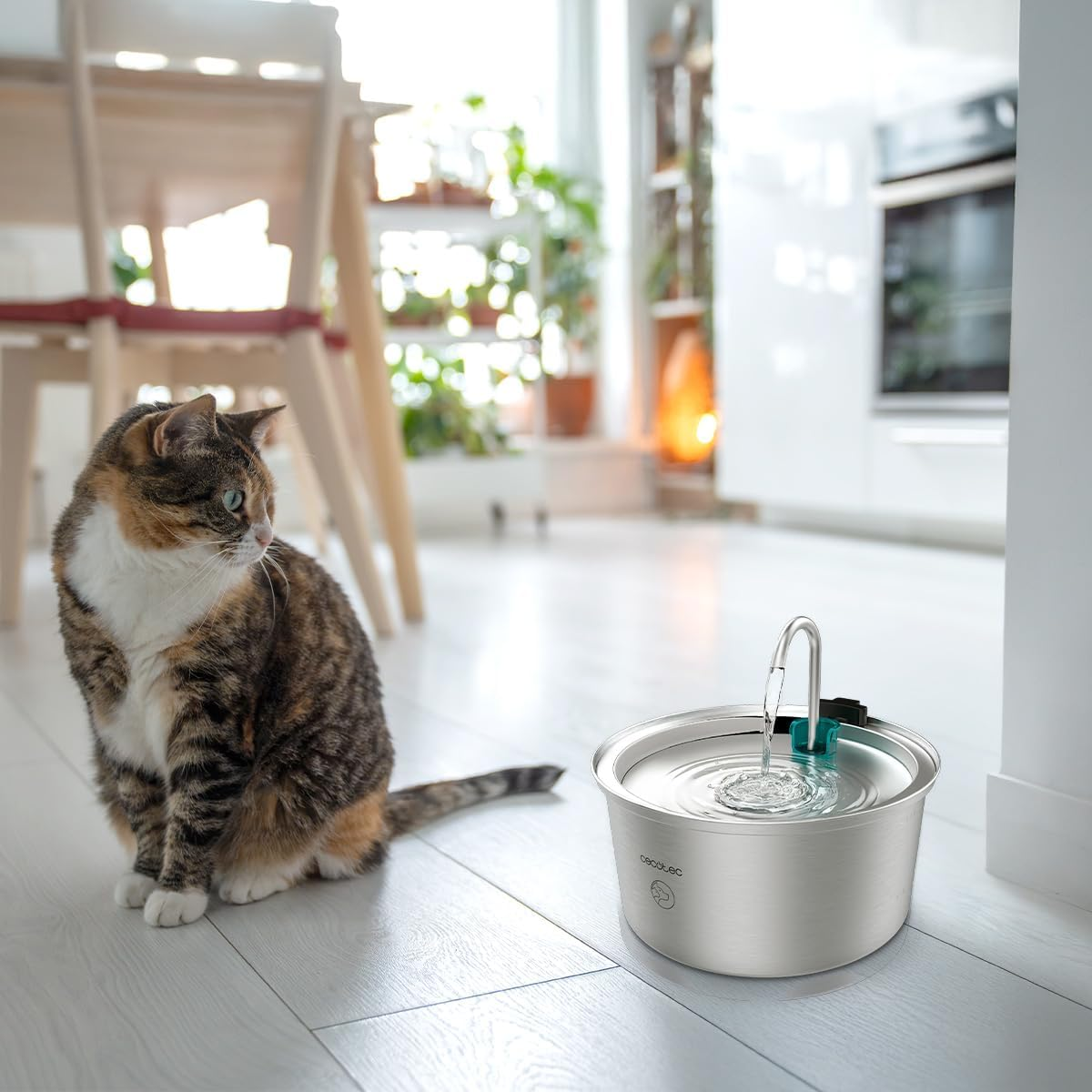 Cecotec Pumba 3200 Refresh Stainless Steel Automatic Pet Fountain for Cats, Stainless Steel, High Performance Filter, Quiet, Waterfall Design, IPX4, Easy Cleaning image number 4