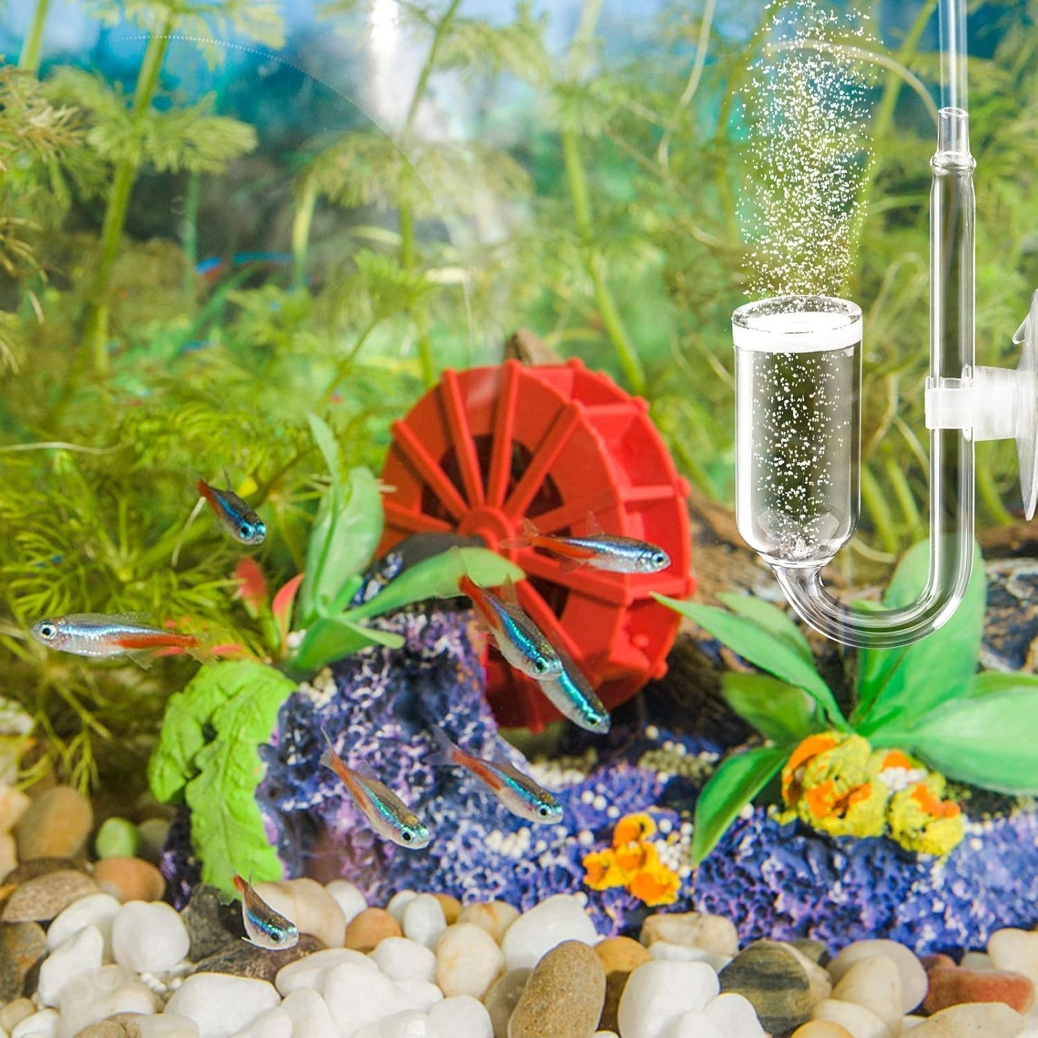 Cobella CO2 Diffuser U Shape Fish Tank Aquarium Pollen Glass CO2 Diffuser for Aquarium Planted Tank image number 1