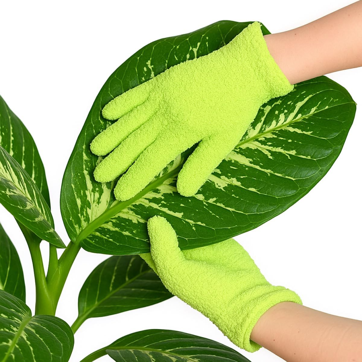 Flora Microfiber Dusting Gloves for Houseplants &ndash; save Your Plants from Hidden Killers &ndash; Ultra-Gentle Microfiber Leaf Cleaners for Indoor Plants &ndash; Washable & Reusable image number 2