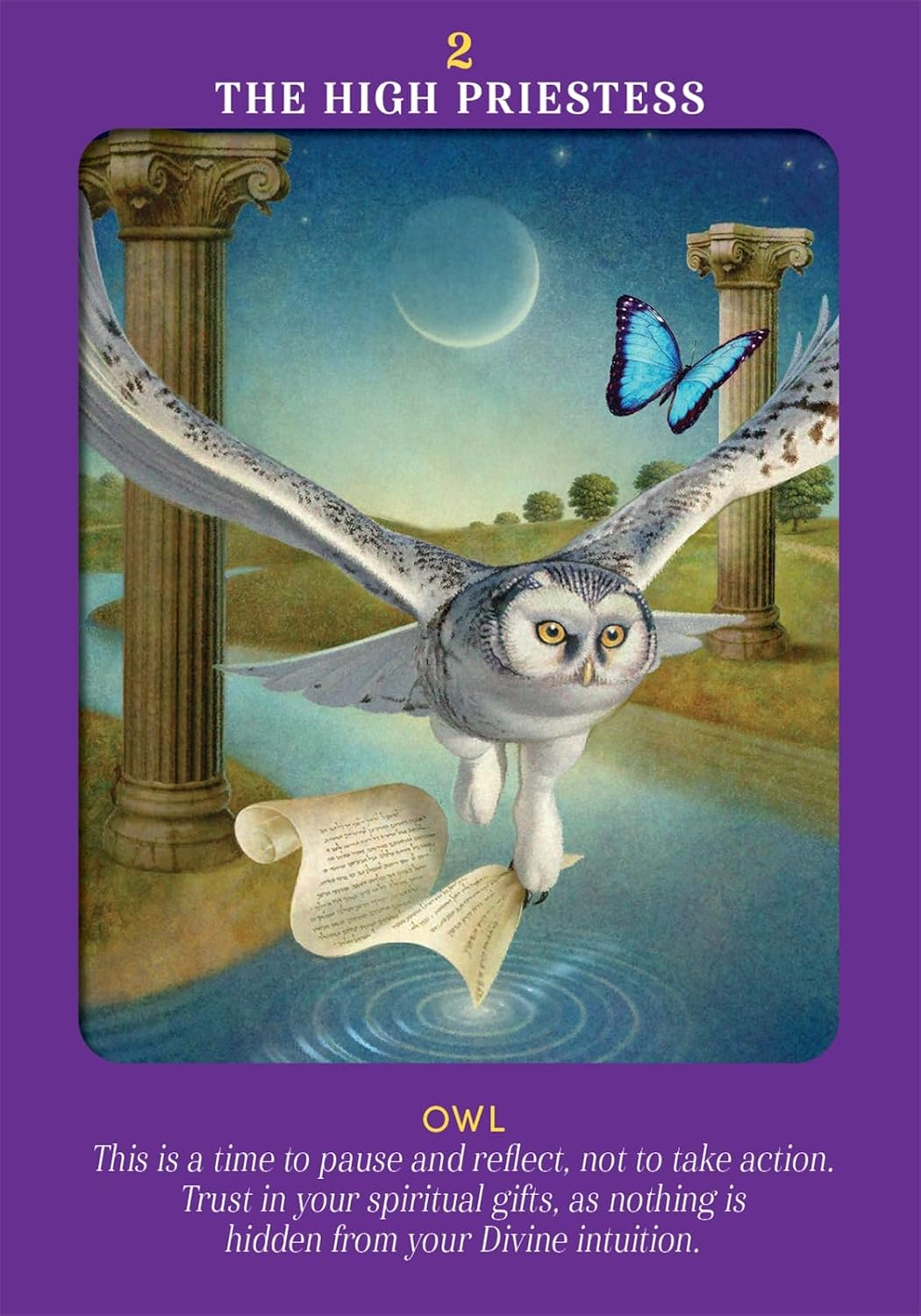 Animal Guides Tarot: a 78-Card Deck and Guidebook