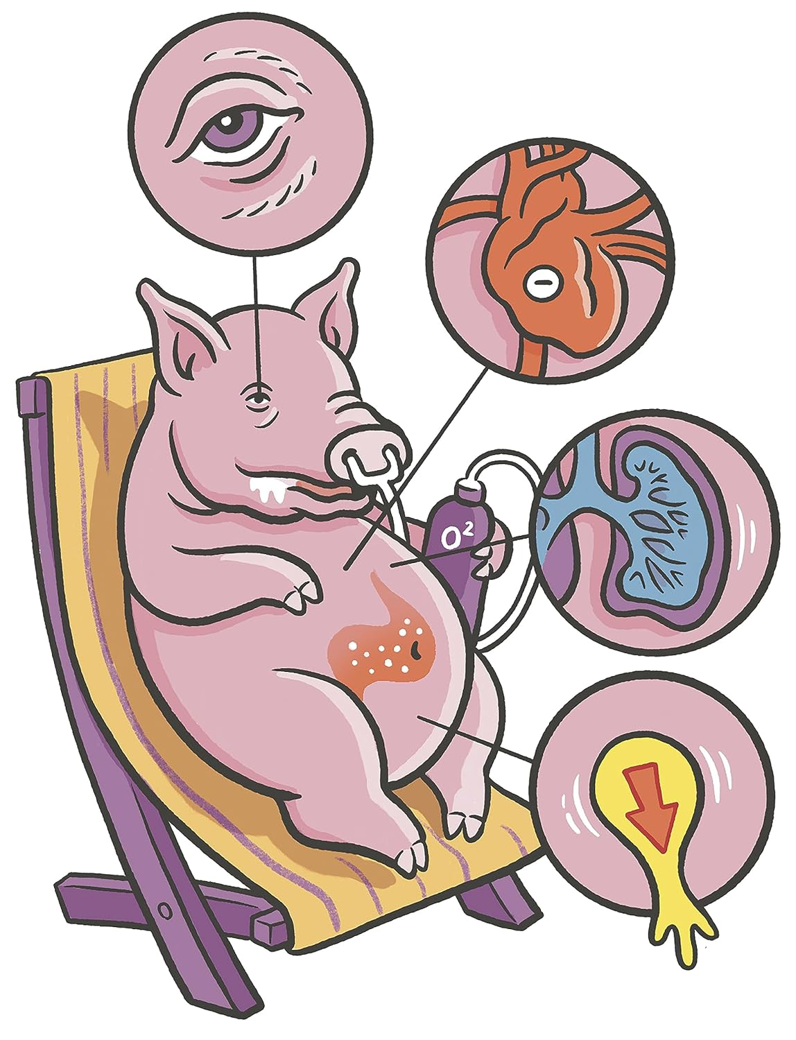 Clinical Pharmacology Made Ridiculously Simple image number 3