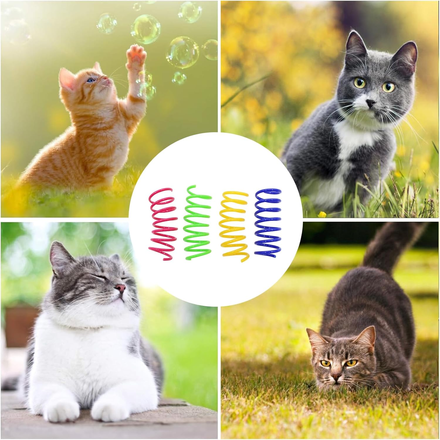 Cat Spring Toy, Spiral Colourful Cat Toy Set, 24 Pieces Cat Toy, Spiral Springs, Spiral Cat Toy, Spring Spiral for Cat, Pets Toy image number 5