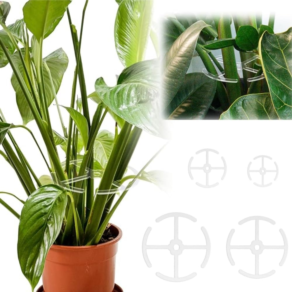 4Pcs Alocasia Plant Climbers Stem Holders, Plastic Climbing Houseplant Stem Supports,Reusable Plant Stem Hook,Growth Sticks Accessories for Climbing Plant,Indoor Plant Stakes image number 4