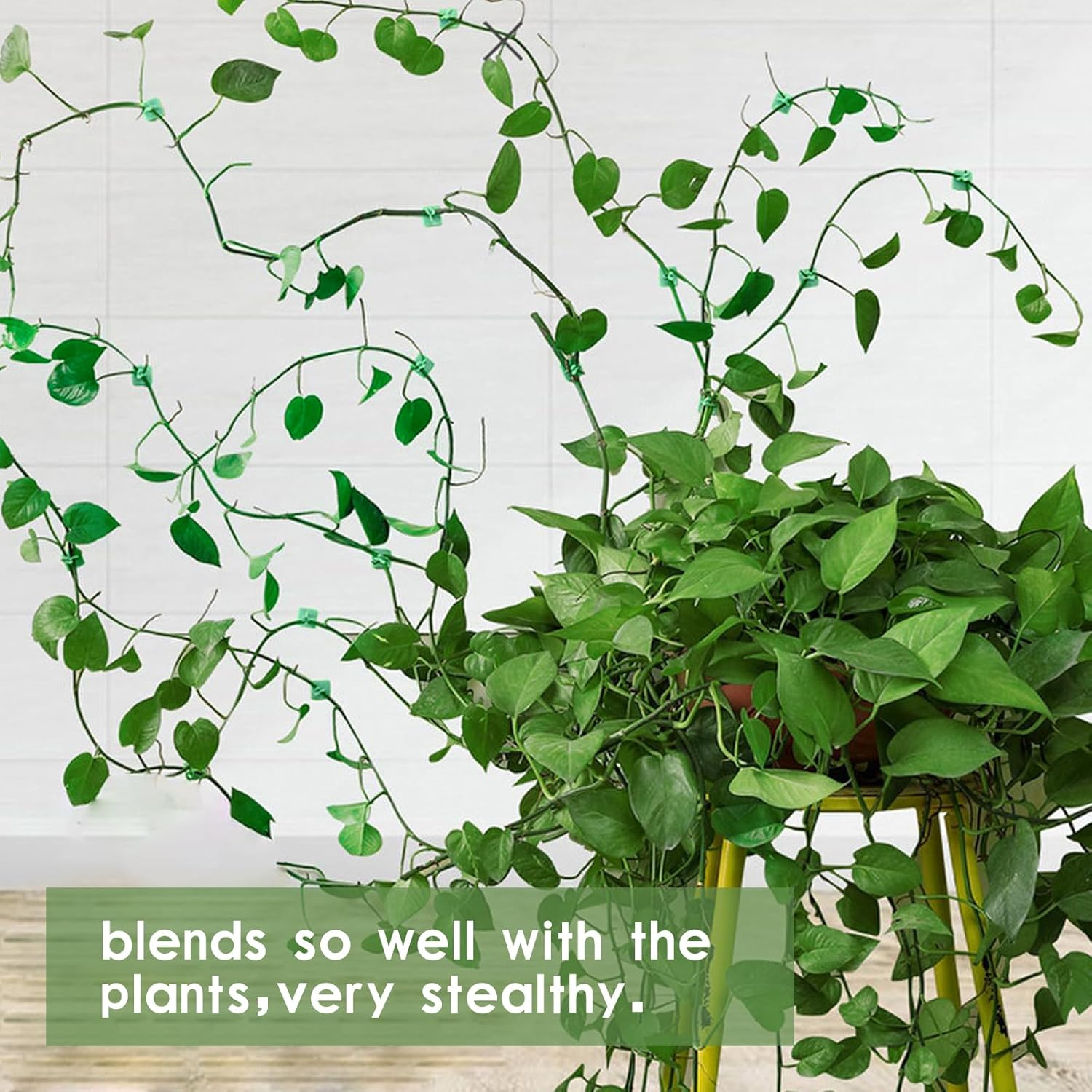 Revylink 50Pcs Snail Plant Clips for Vines Butterfly Wall Plant Clips for Climbing Training Sticky Hooks Hanging Plants Climbing Wall Fixture Clips Plant Climber Vine Plant Support Green image number 3