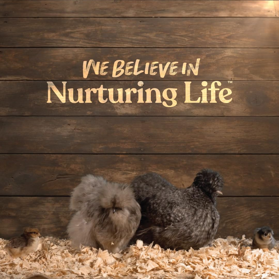 Harris Farms Chicken Waterer - Galvanized Steel - Double Wall Poultry Drinker - 2 Gallon image number 4