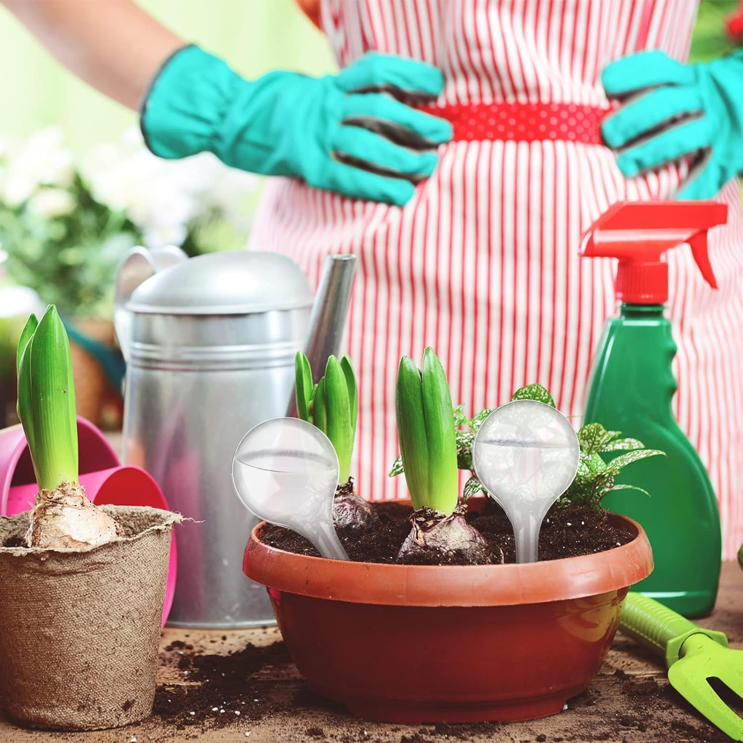 Clear Plastic Self-Watering Globes Plant Watering Bulbs, 10Pcs Plant Watering Bulbs Self-Watering Globes,Garden Water Device Watering Bulbs,Plant Watering Bulbs Automatic Self-Watering Globes image number 1