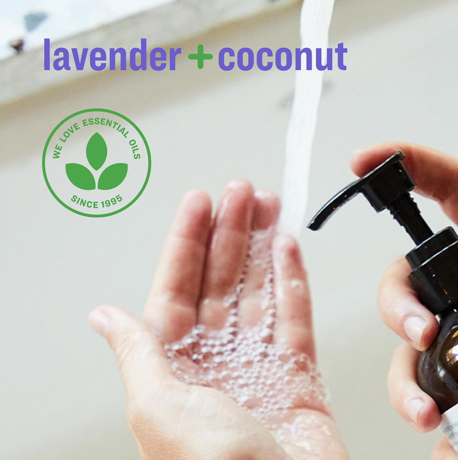 (6) - EO Products 1270156 Everyone Hand Soap Lavender and Coconut 380Ml image number 3