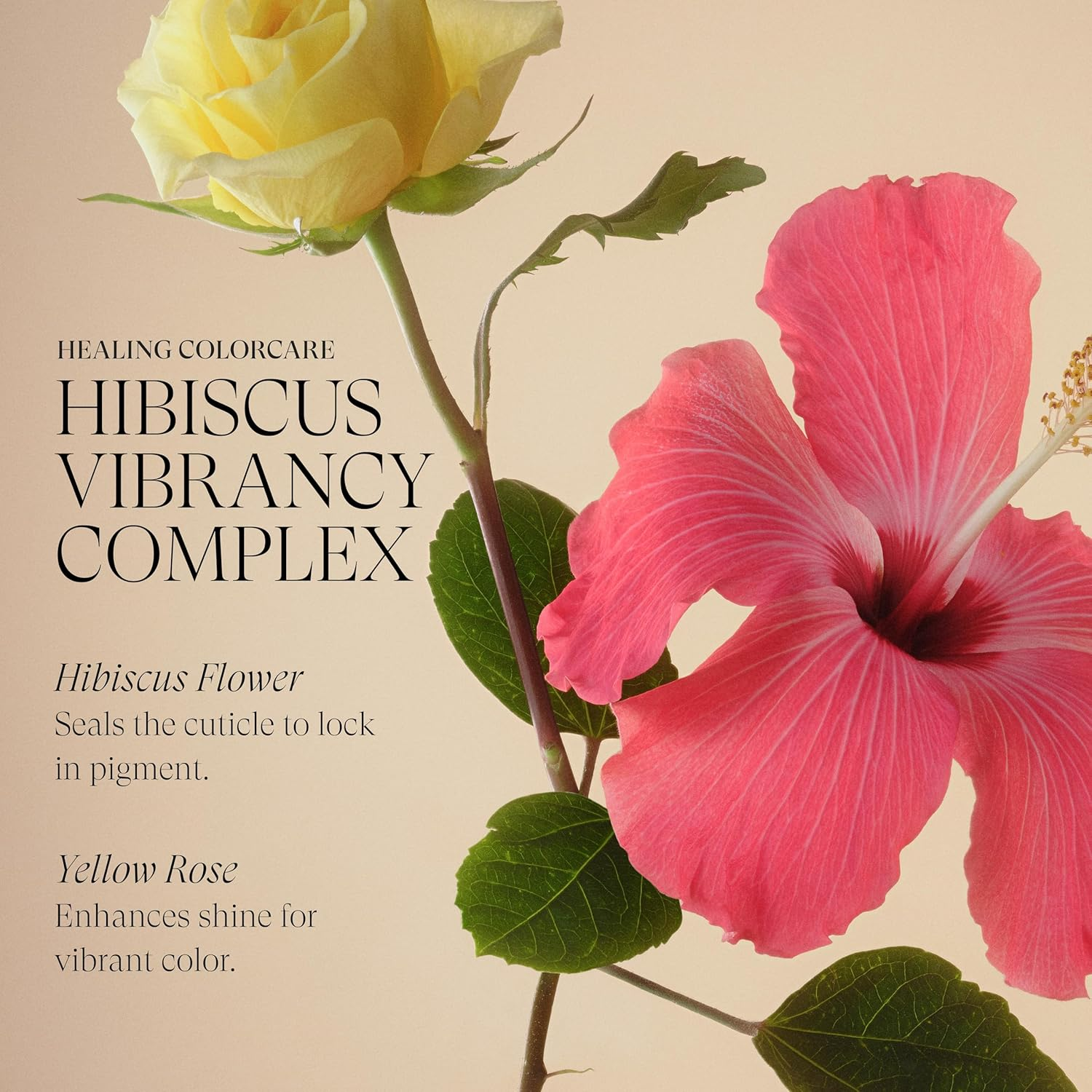 L'ANZA 40010B Healing Colorcare Preserving Shampoo, 300 Ml image number 3