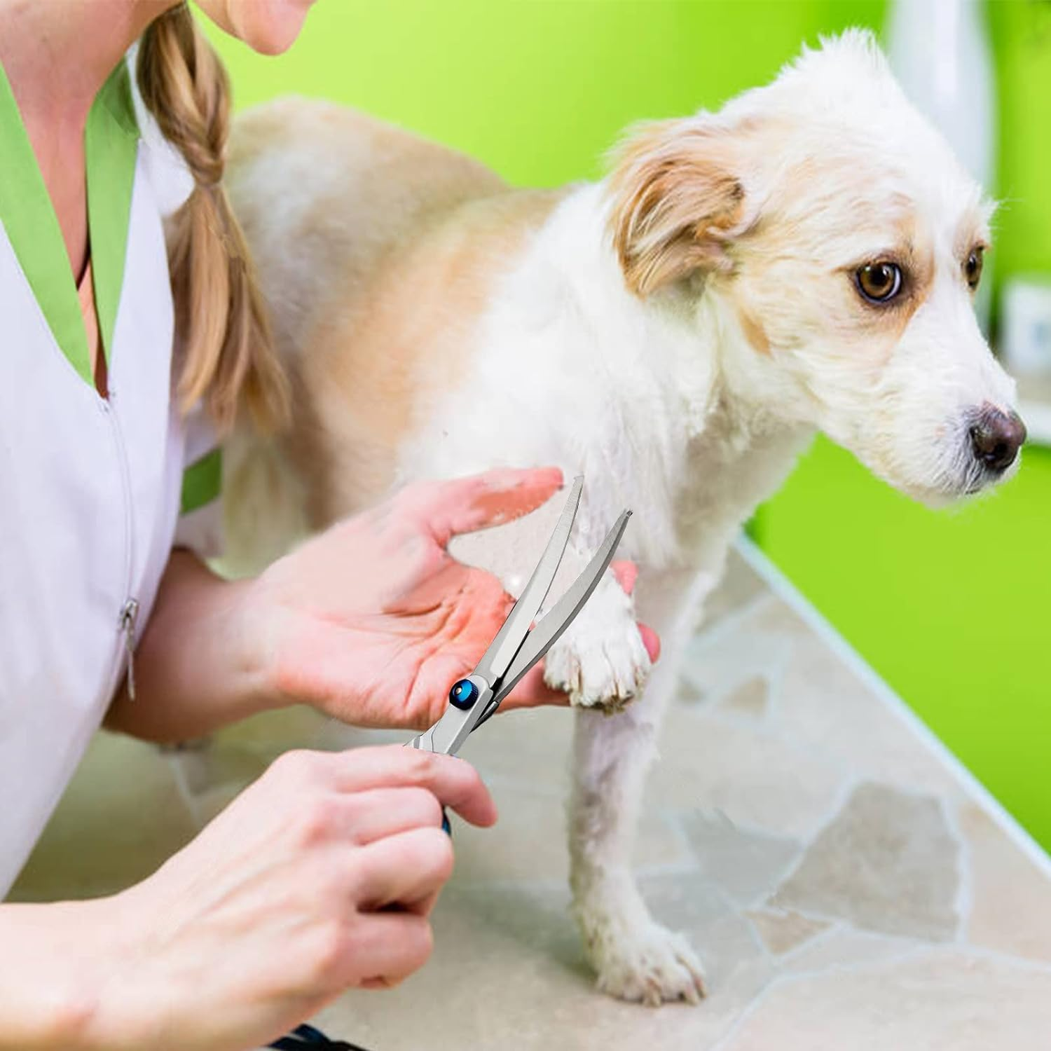 Dog Grooming Scissors, Jiasoval 4-In-1 Dog Grooming Set with round Safety Tip, Professional Grooming Scissors Set, Hair Cutting Scissors with Steel Comb and Leather Case for Dogs image number 4