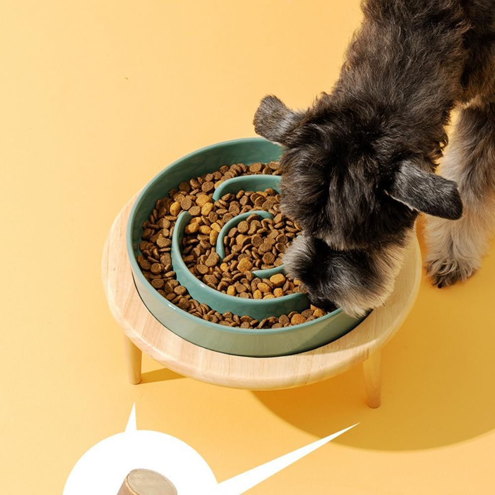 Sarini Slow Feeder Dog Bowl for Small to Medium Dogs, Green image number 3