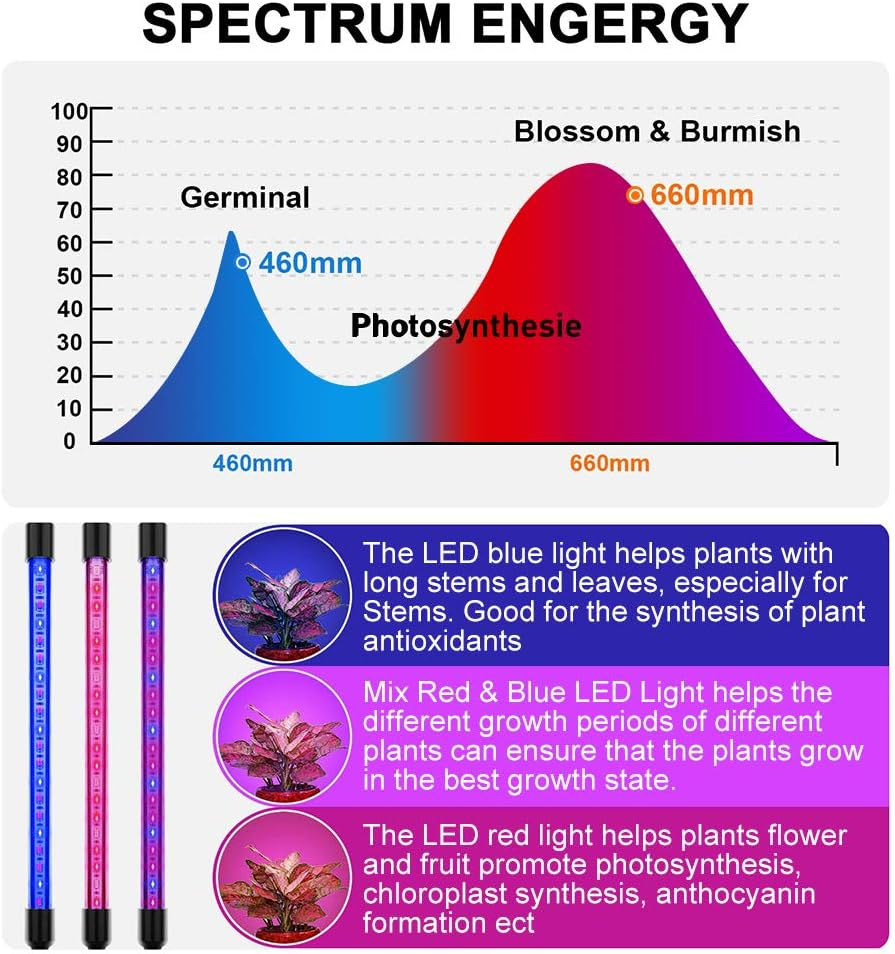 LED Plant Grow Lights for Indoor Plants 20 LED Full Spectrum Plant Lights, 3 Switch Modes, 3/9/12H Timer, 9 Dimmable Brightness Growth Lamp for Indoor Succulent, Vegetables image number 6